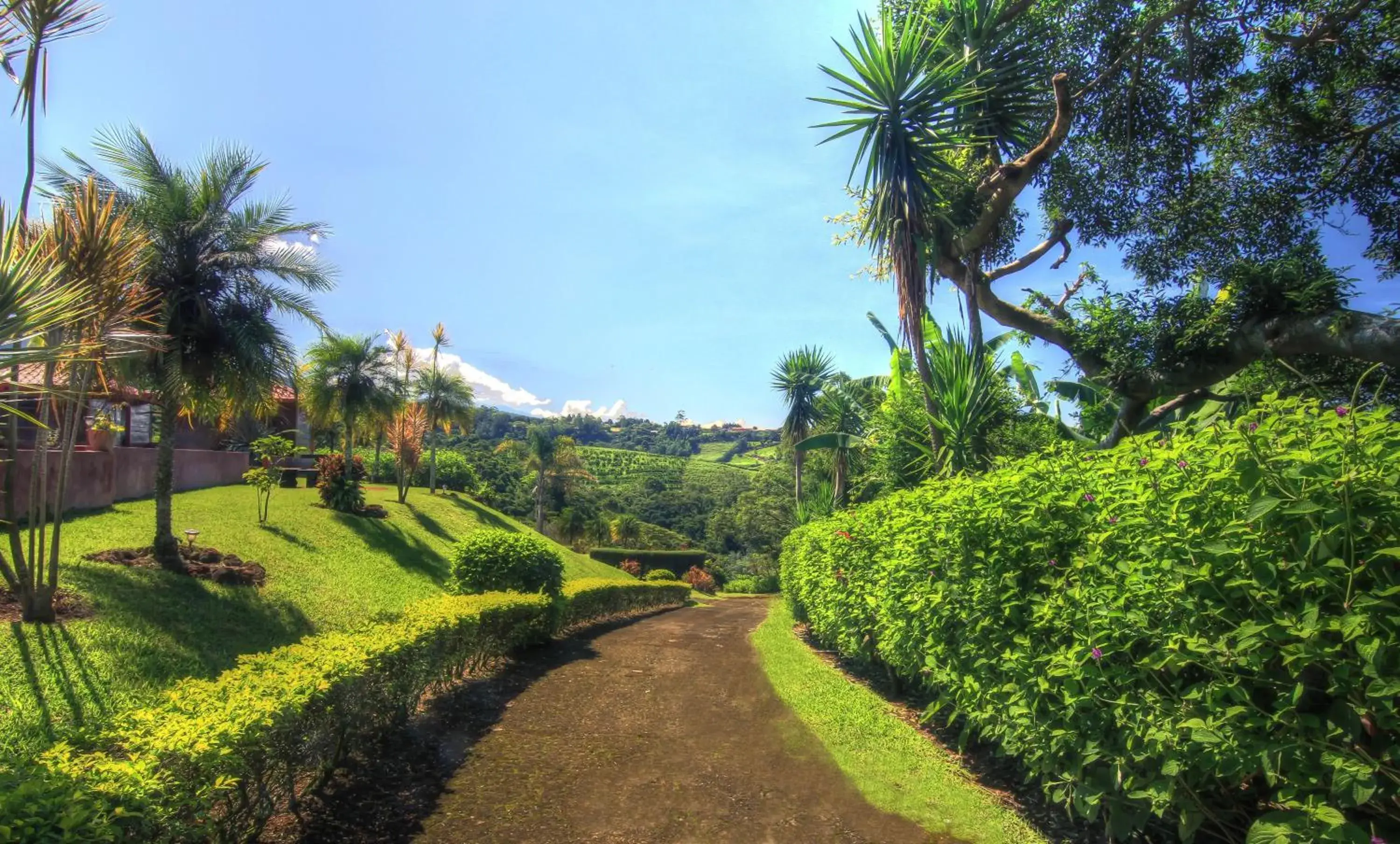 Garden view in Hotel Mango Valley Garden view in Hotel Mango Valley