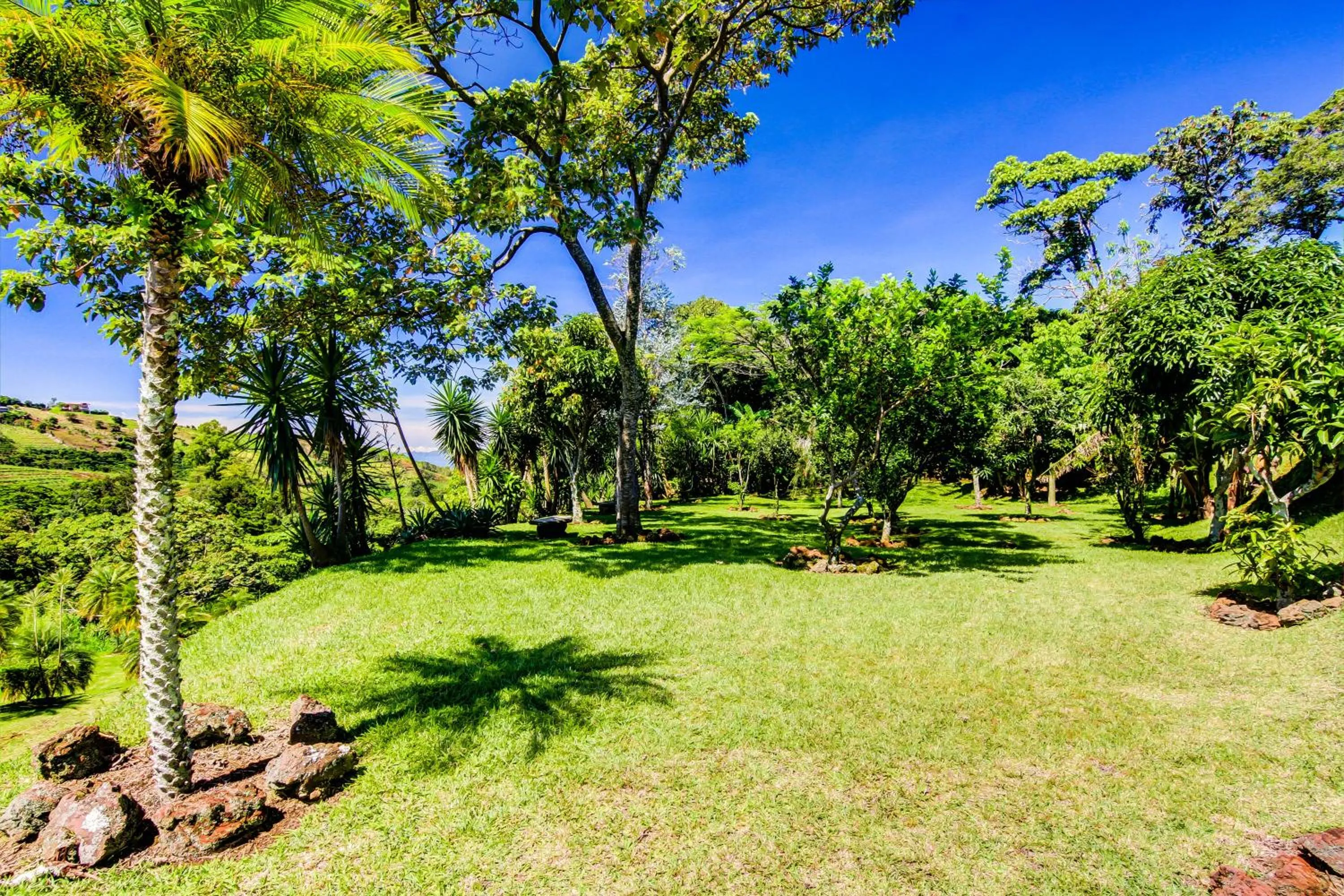 Garden in Hotel Mango Valley