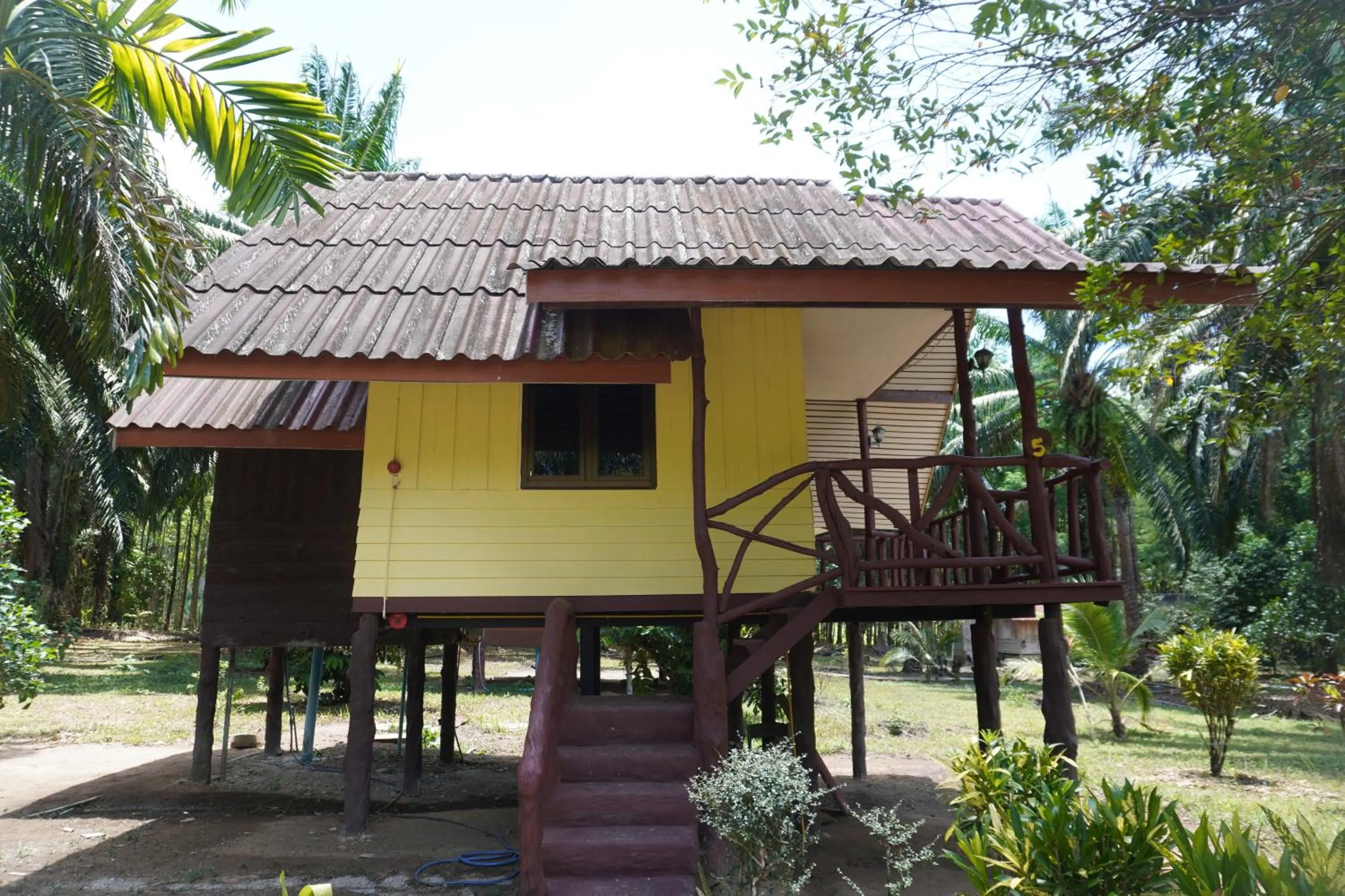 Property building in Khao Sok Palmview Resort