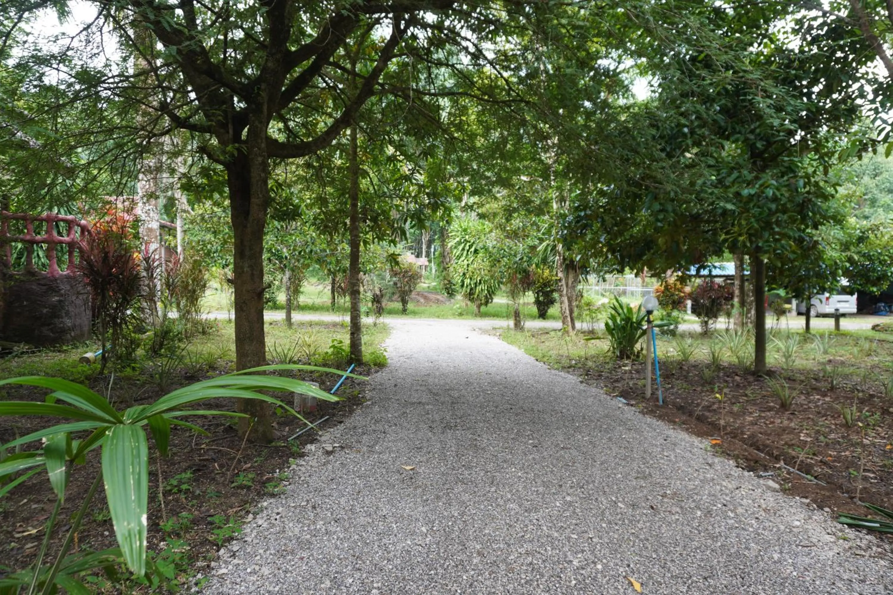 Khao Sok Palmview Resort