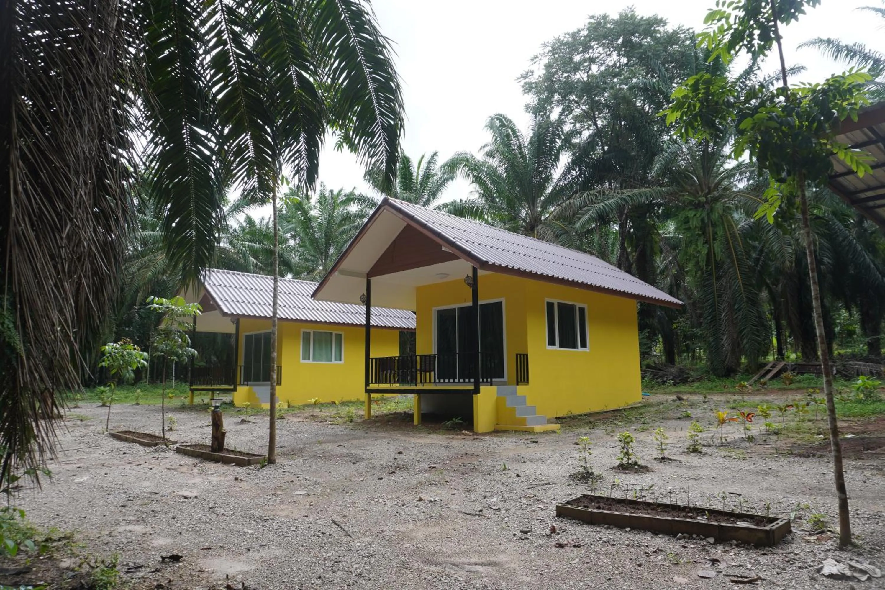 Property building in Khao Sok Palmview Resort