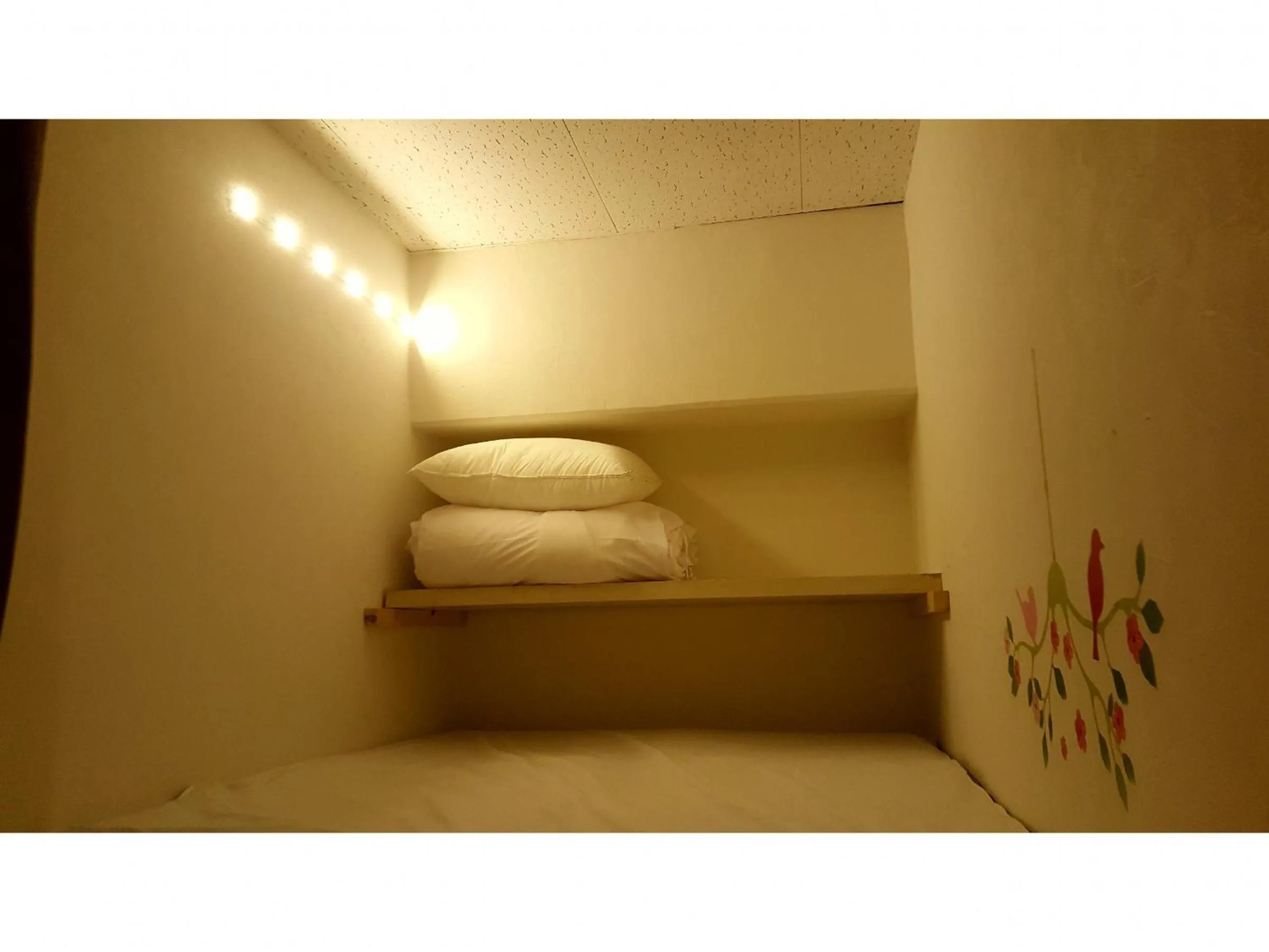 Bed in Shinjuku Sky hostel