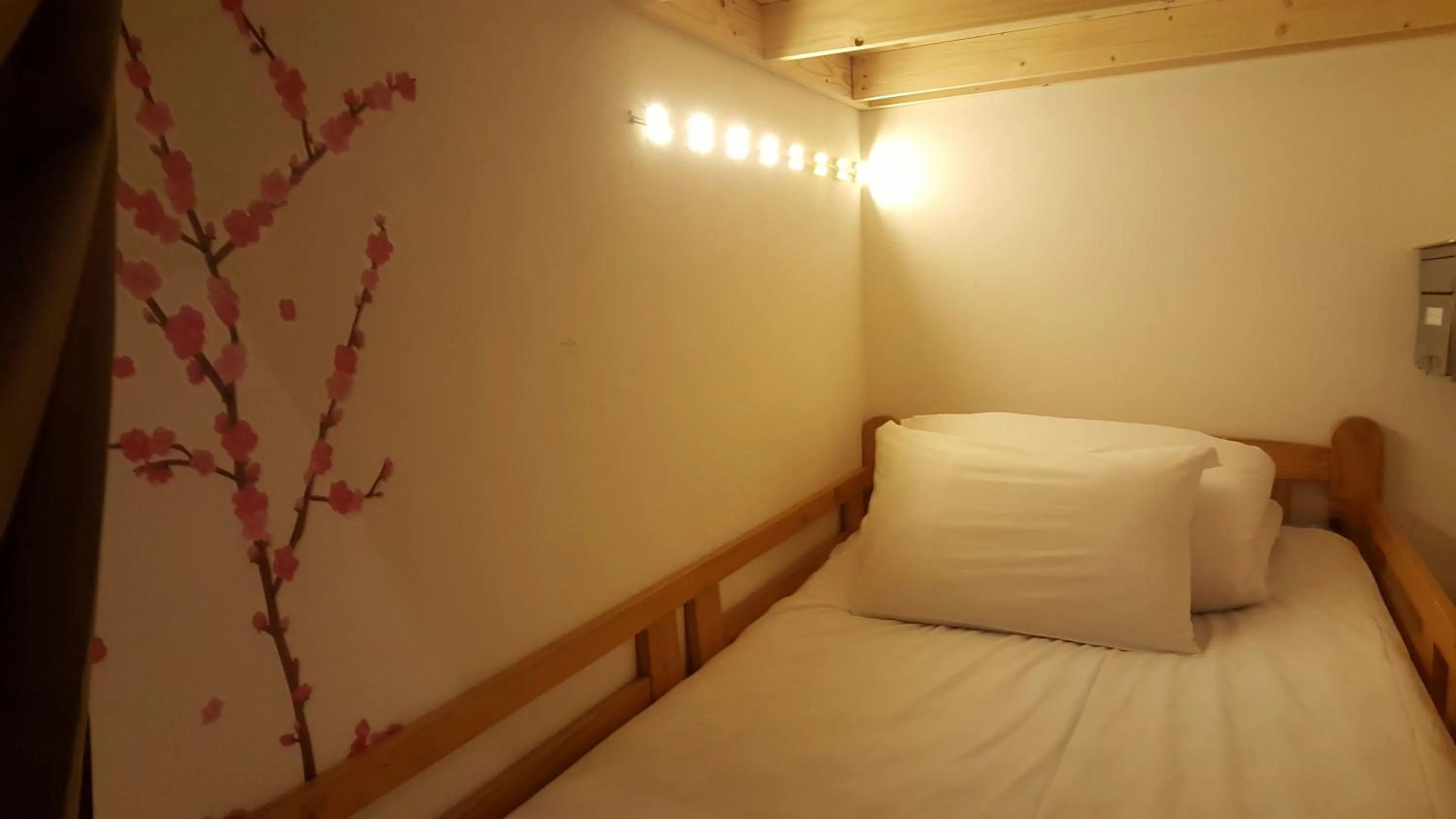 Bed in Shinjuku Sky hostel