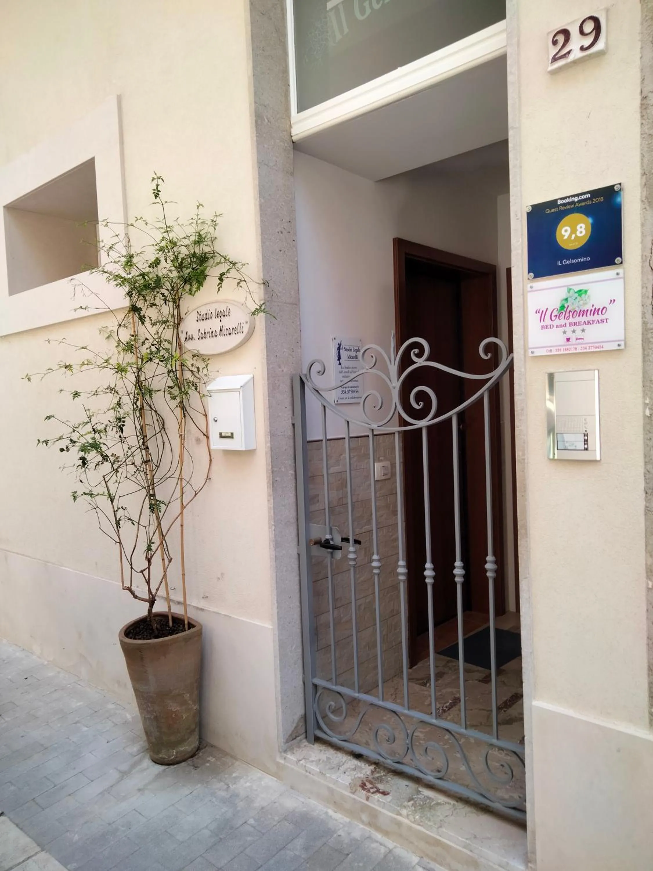 Il gelsomino