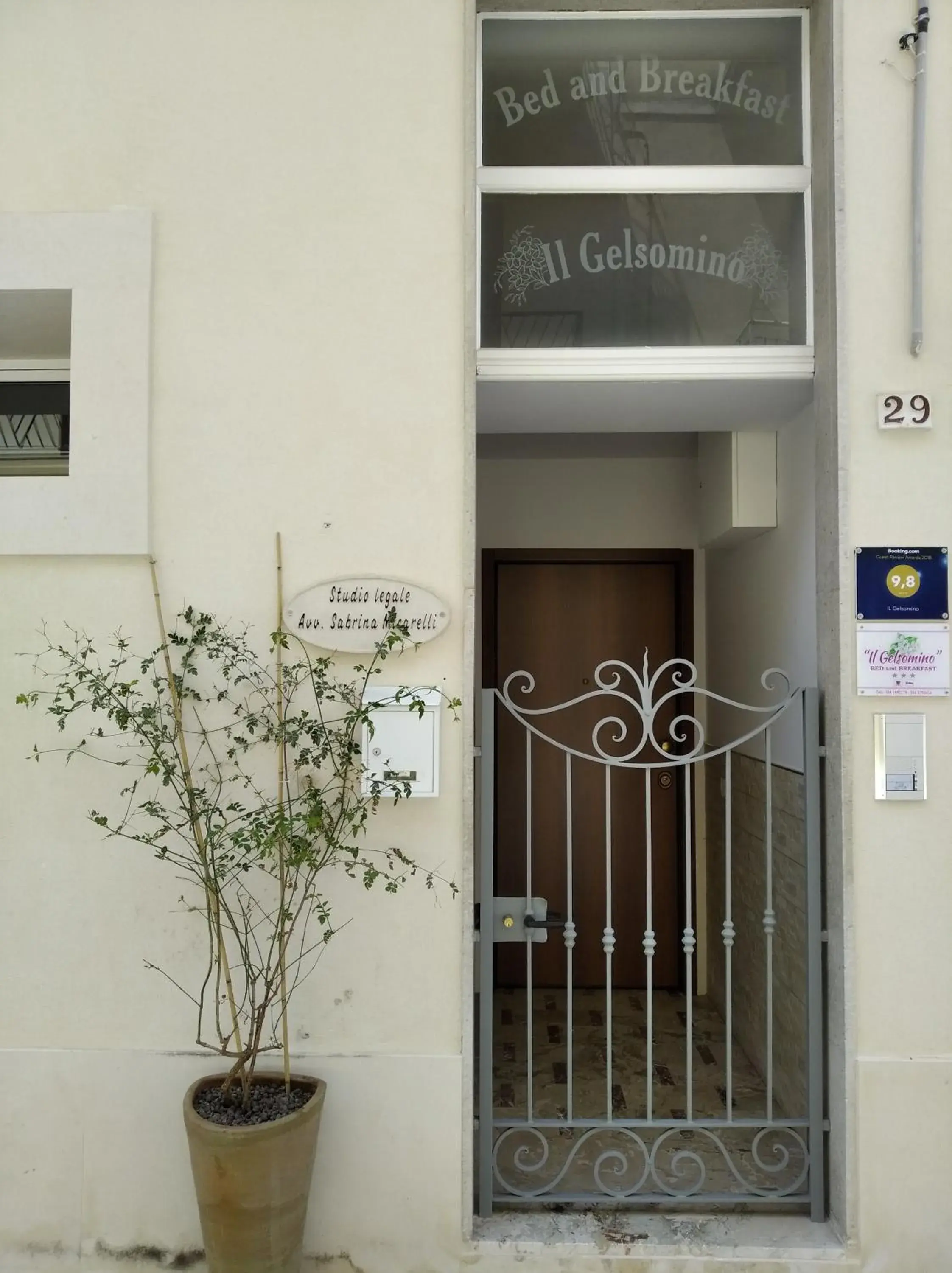 Il gelsomino Il gelsomino