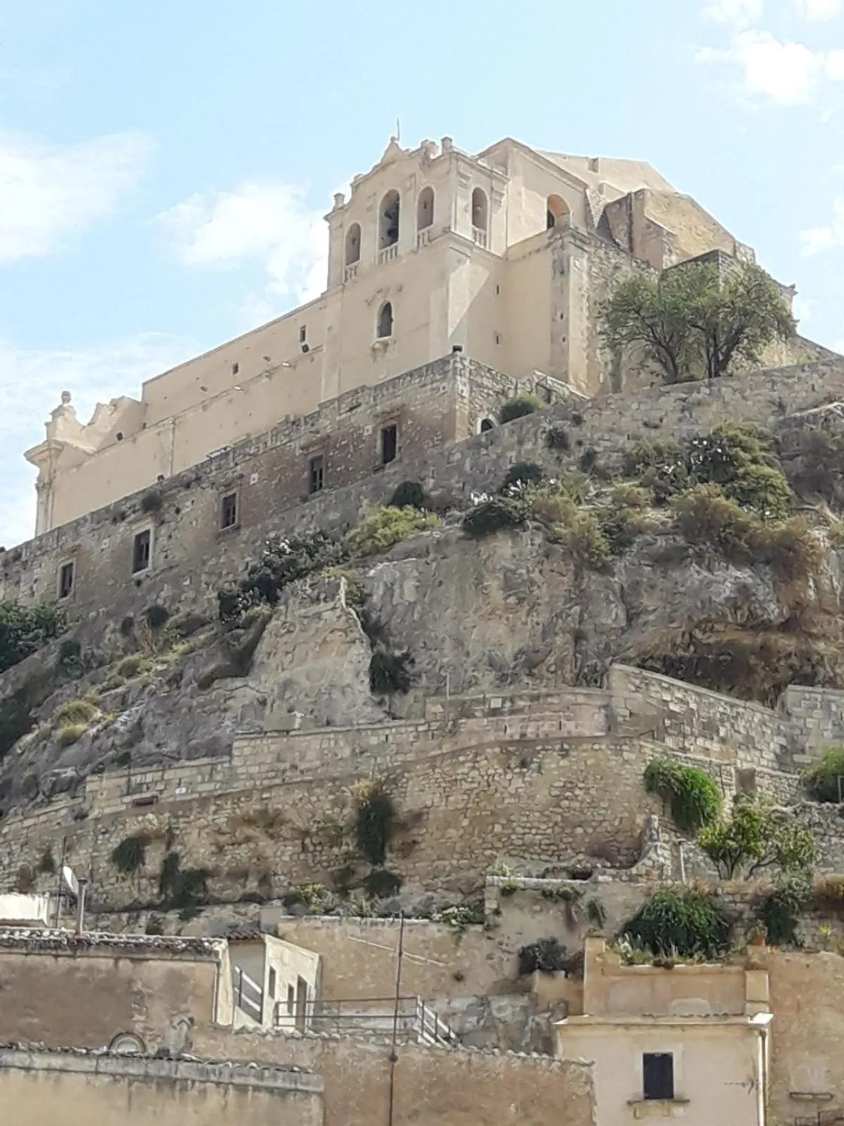 Il gelsomino