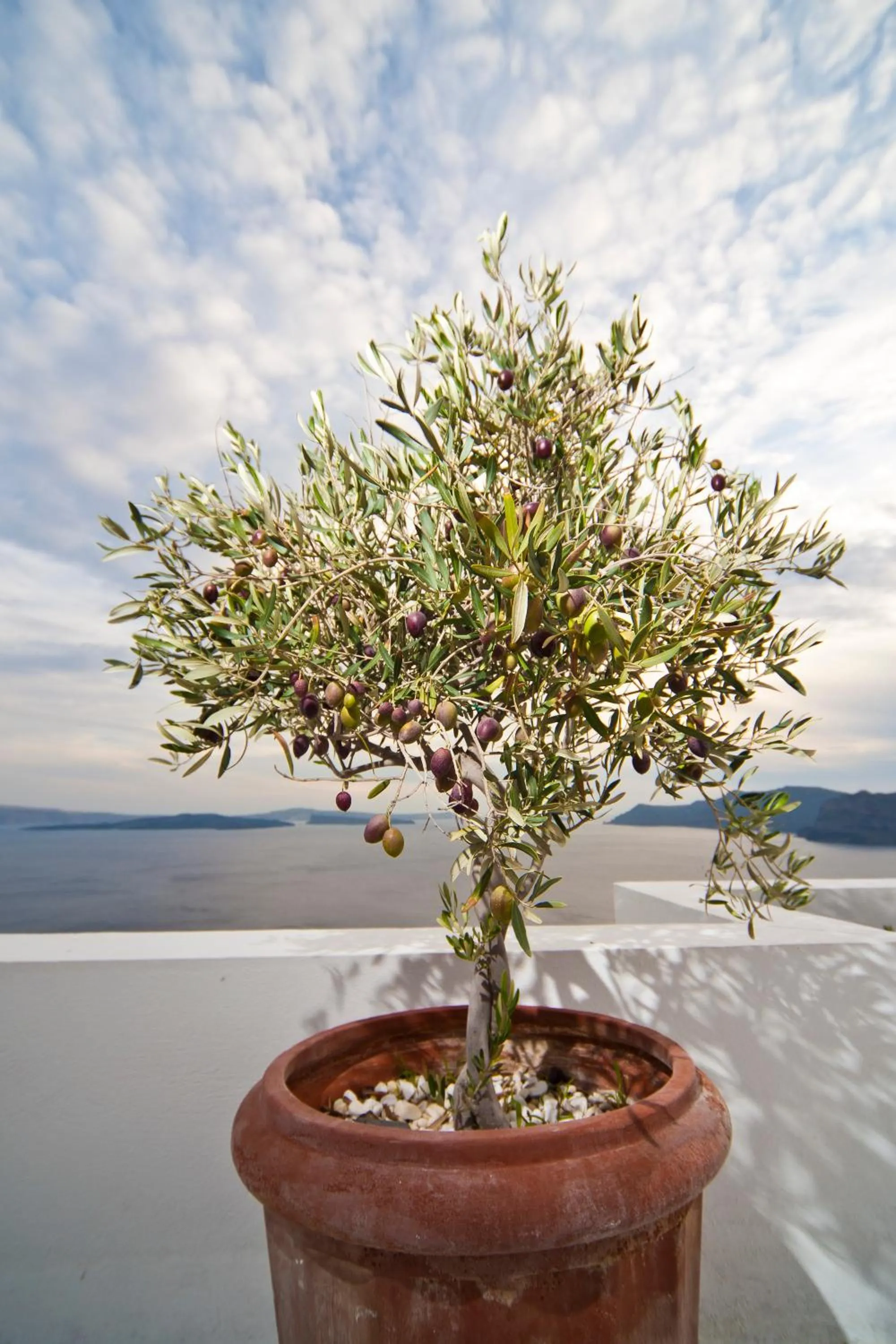 Decorative detail in Delfini Villas