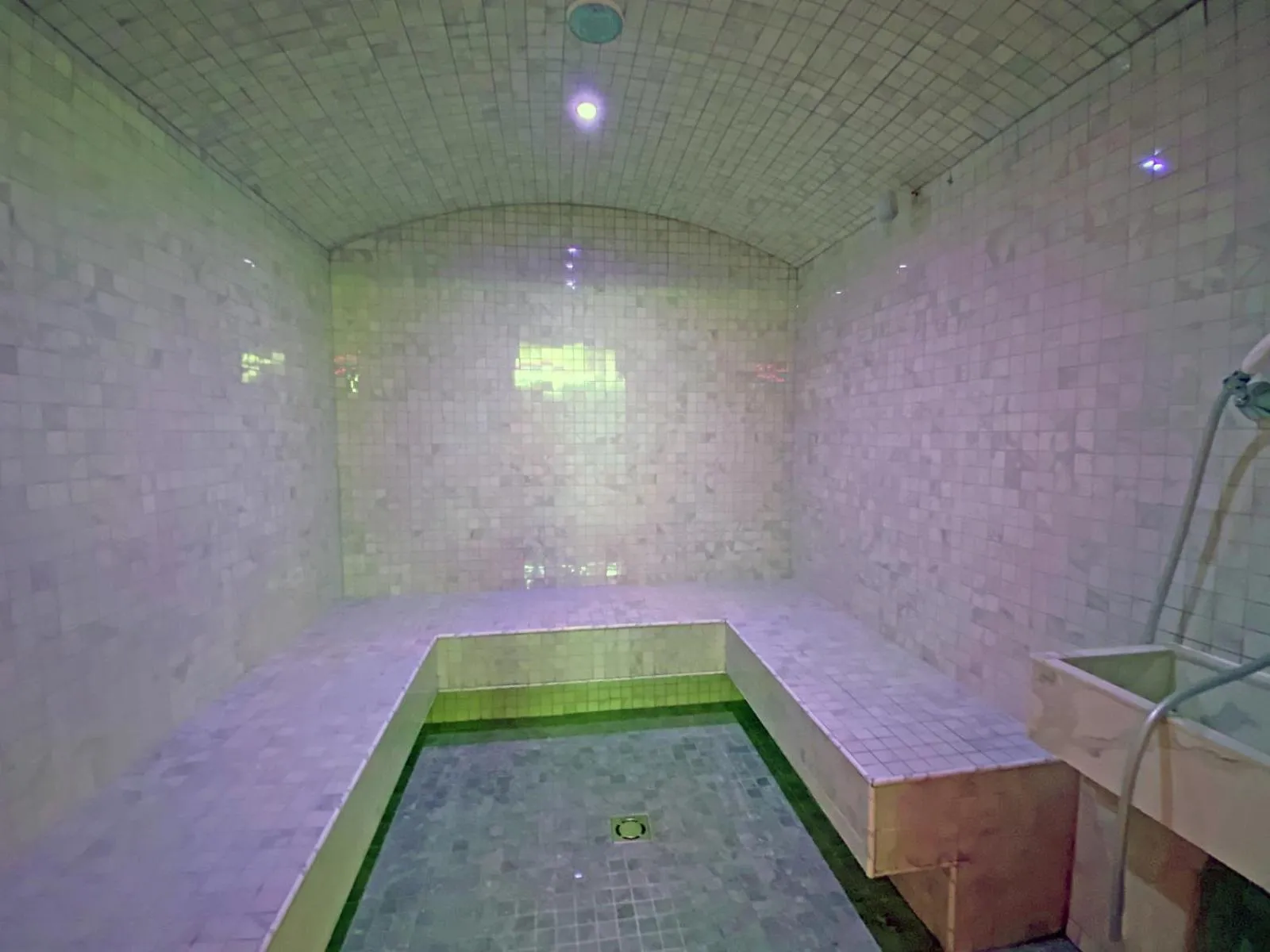 Steam room in Hotel Villa Chiara