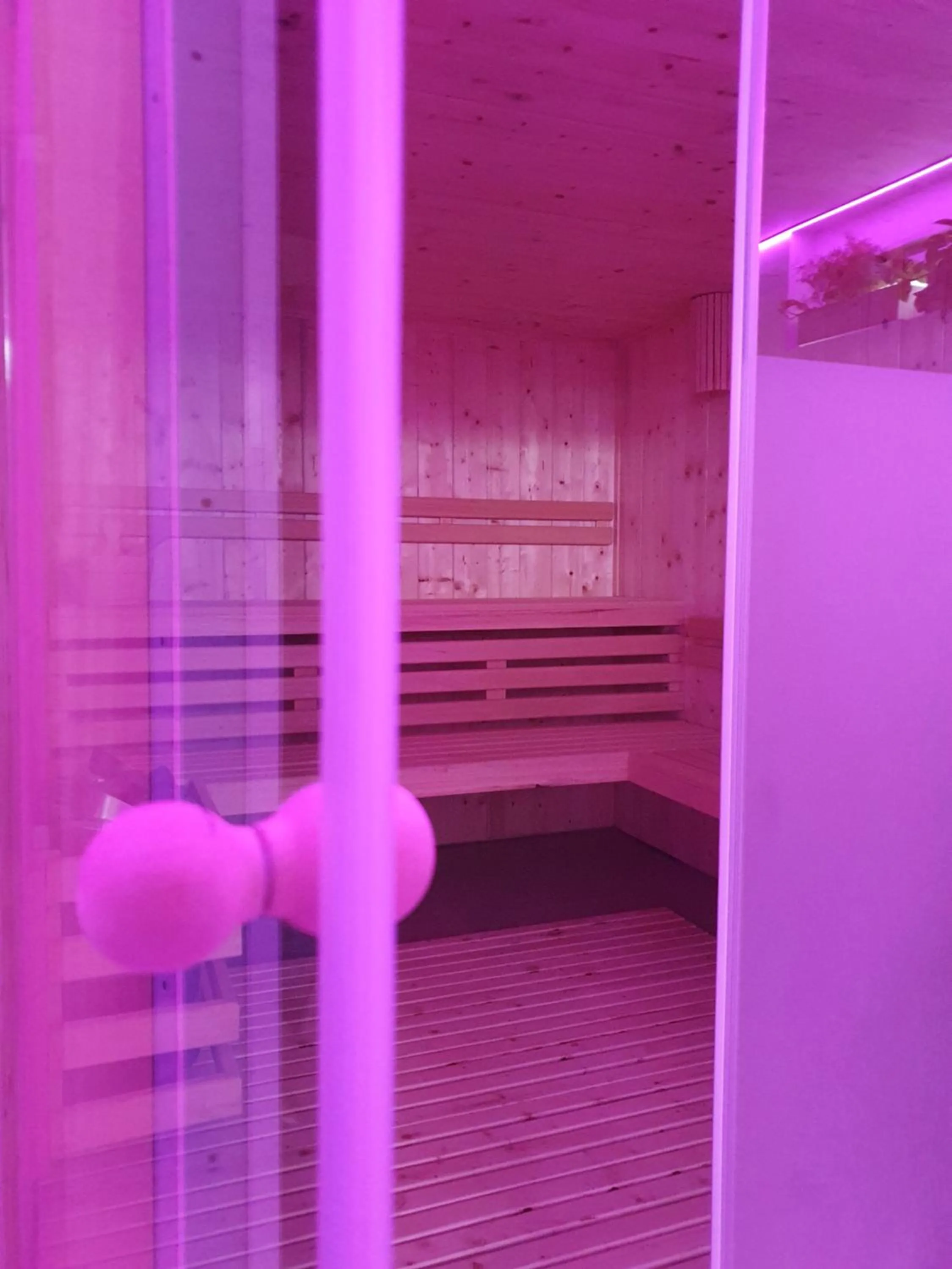 Sauna in Hotel Villa Chiara