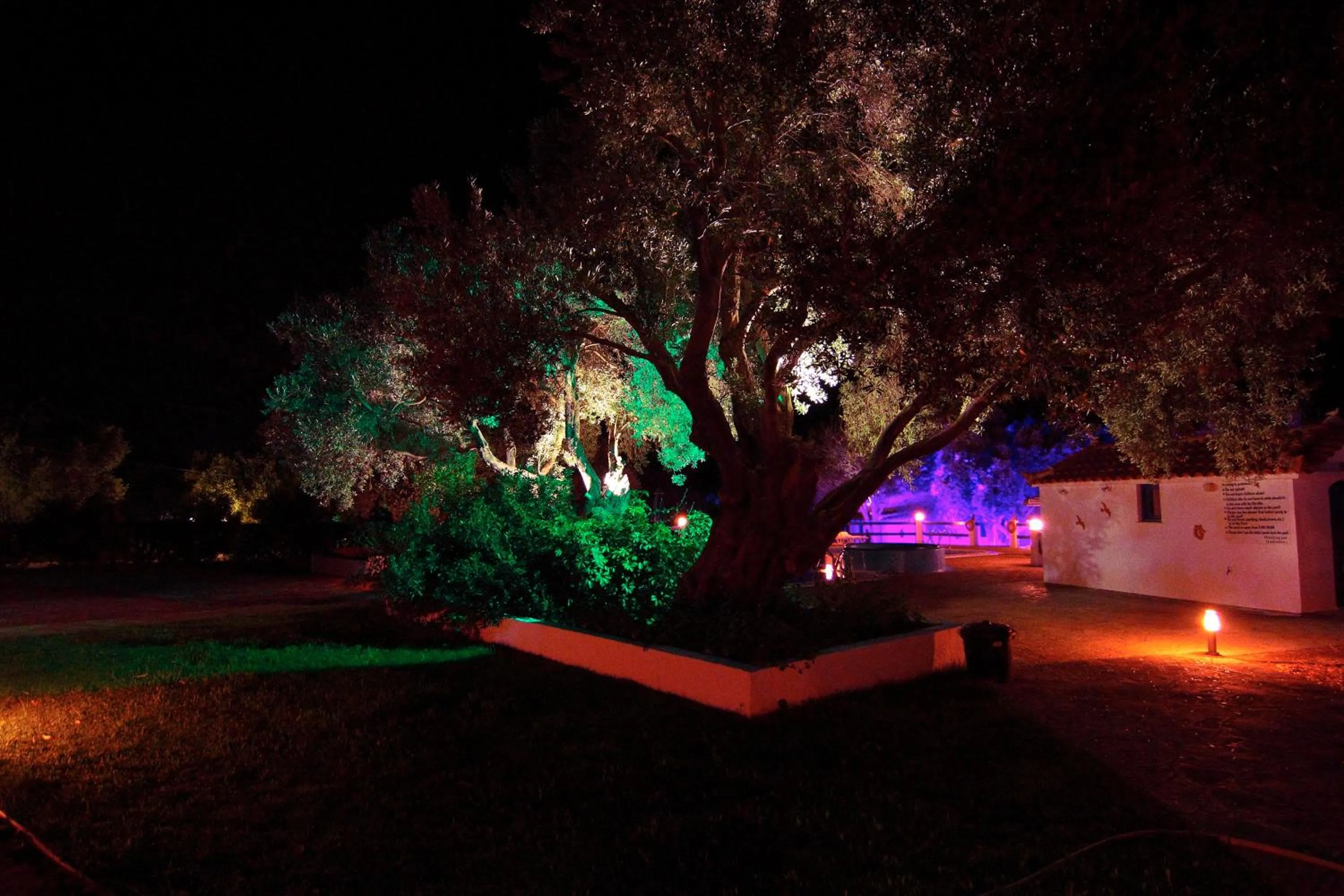 Garden in White Rock Apartments