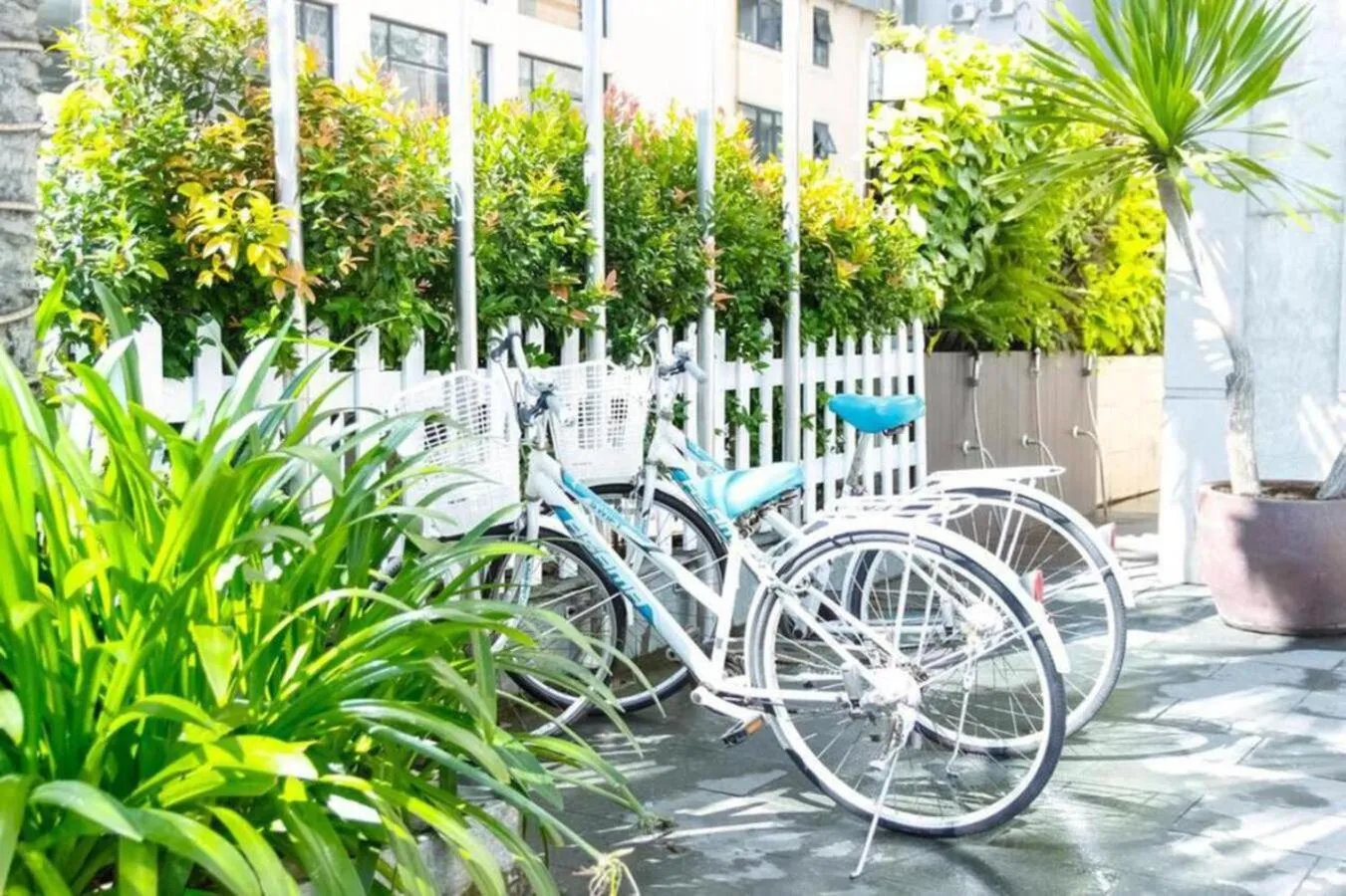 Cycling in Trầm Hương Hotel