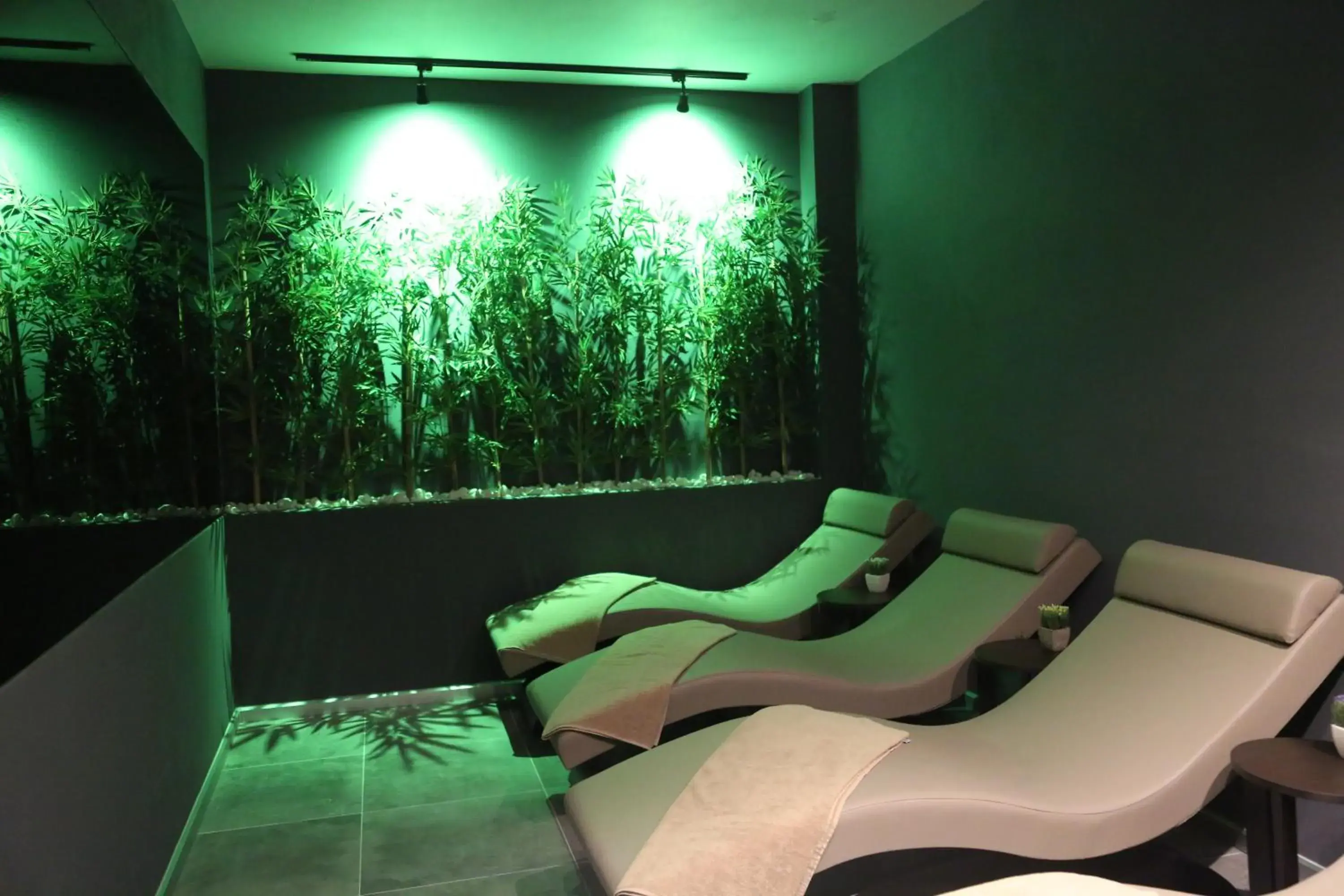 Spa and wellness centre/facilities in Alfa Suites & SPA Spa and wellness centre/facilities in Alfa Suites & SPA