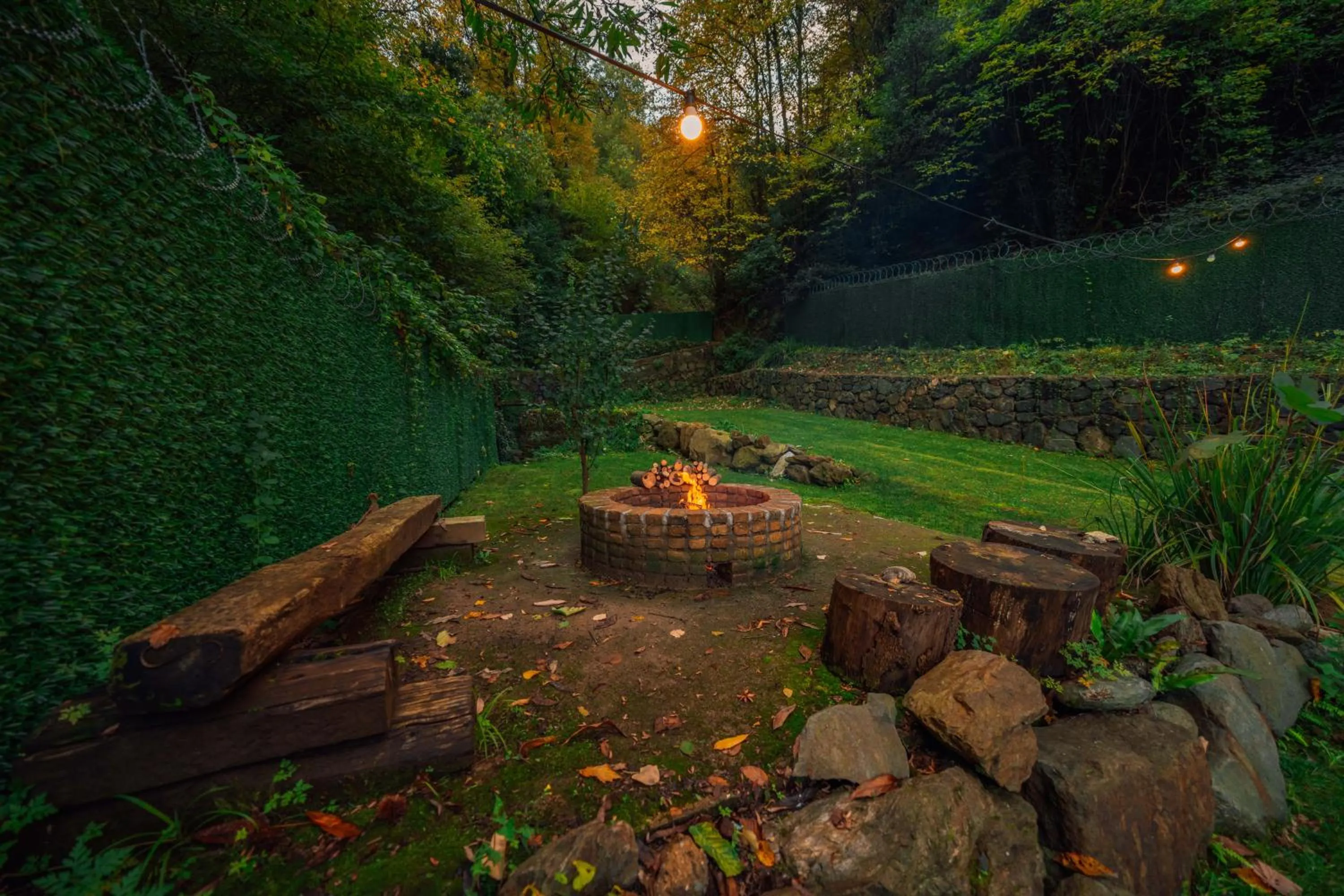 Garden view in Alfa Suites & SPA