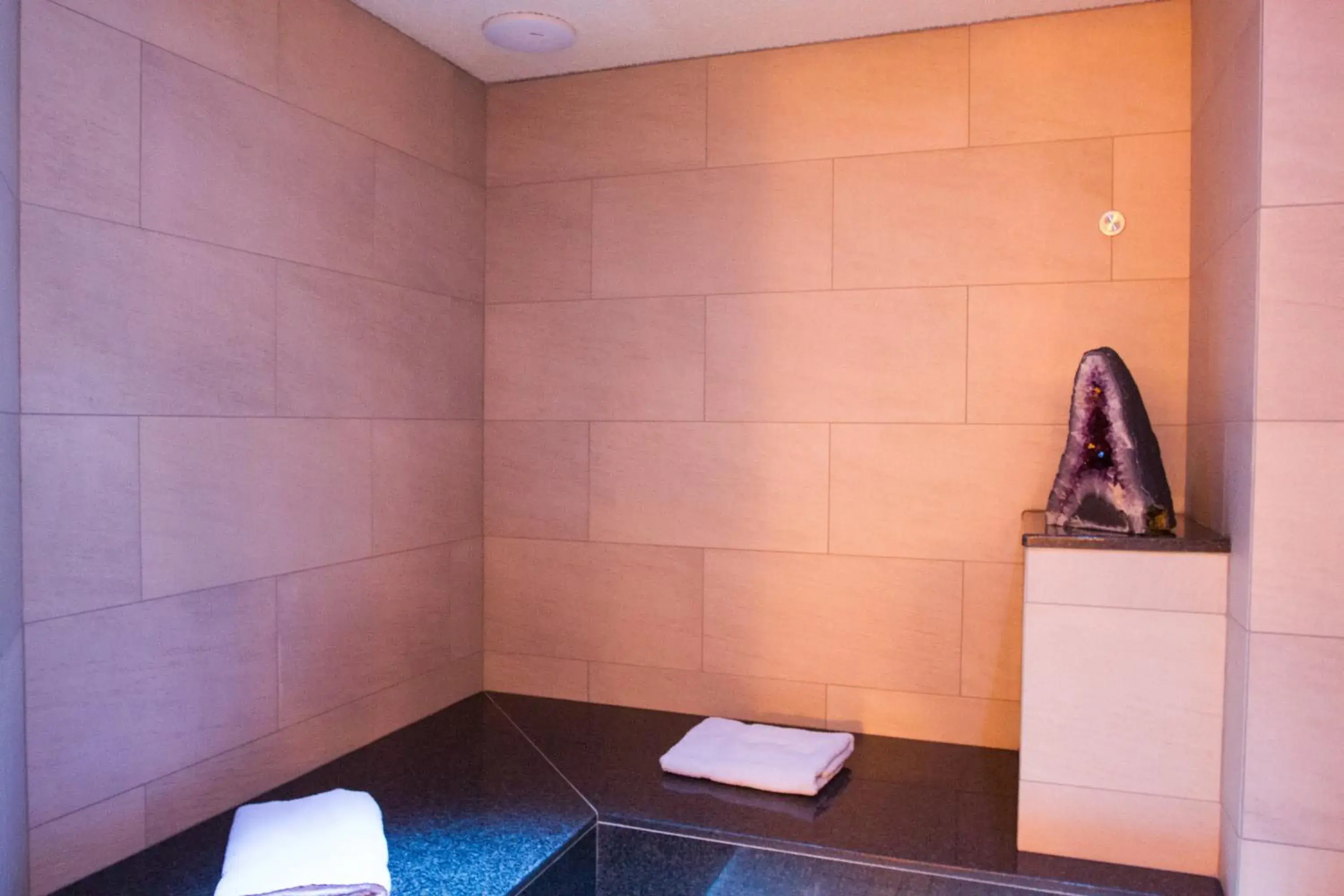 Spa and wellness centre/facilities, Bathroom in Hotel Albona