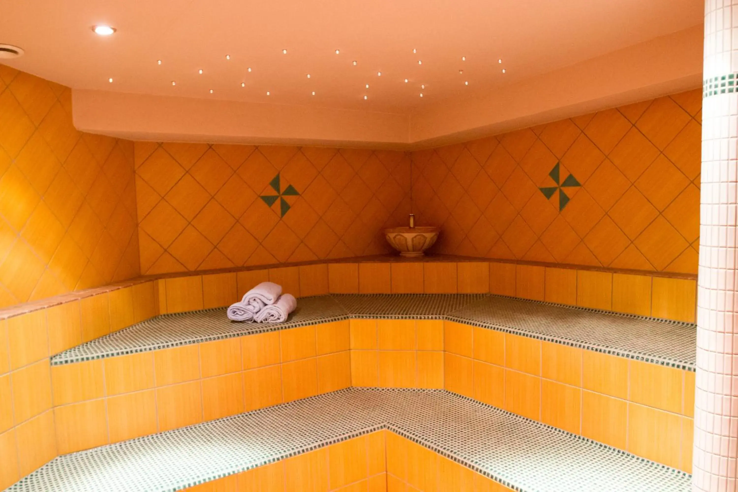 Spa and wellness centre/facilities in Hotel Albona