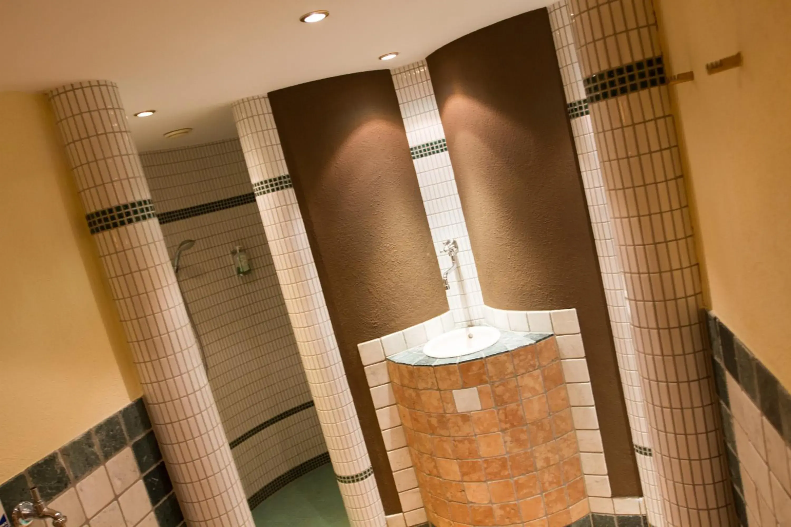 Sauna, Bathroom in Hotel Albona