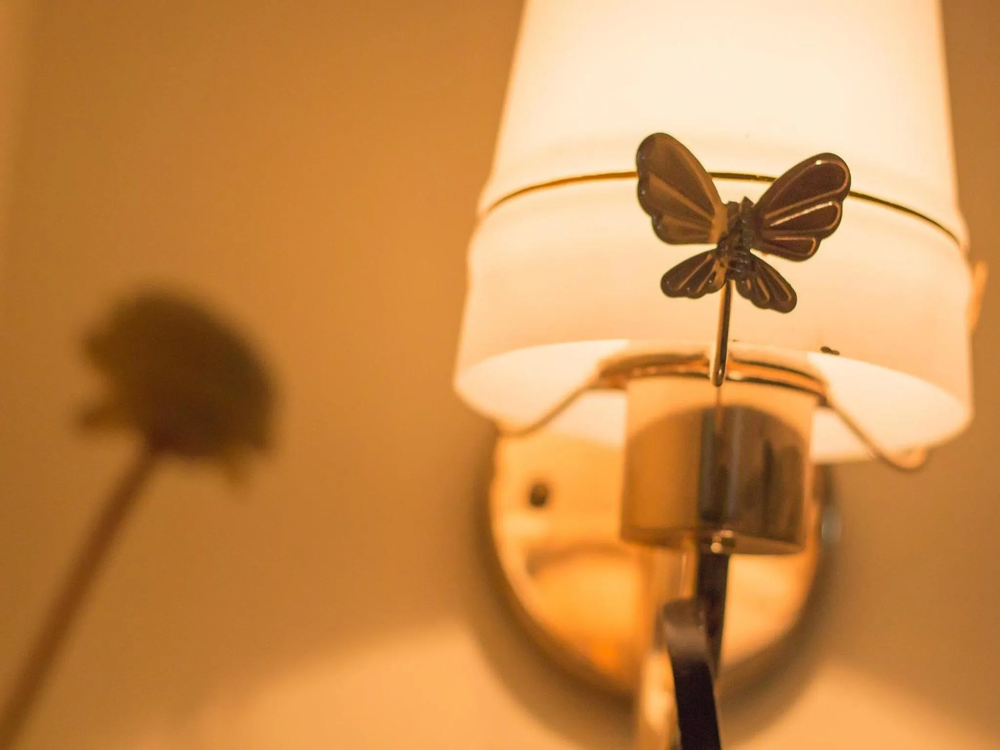 Restaurant/places to eat in Angkor Mithona Guesthouse