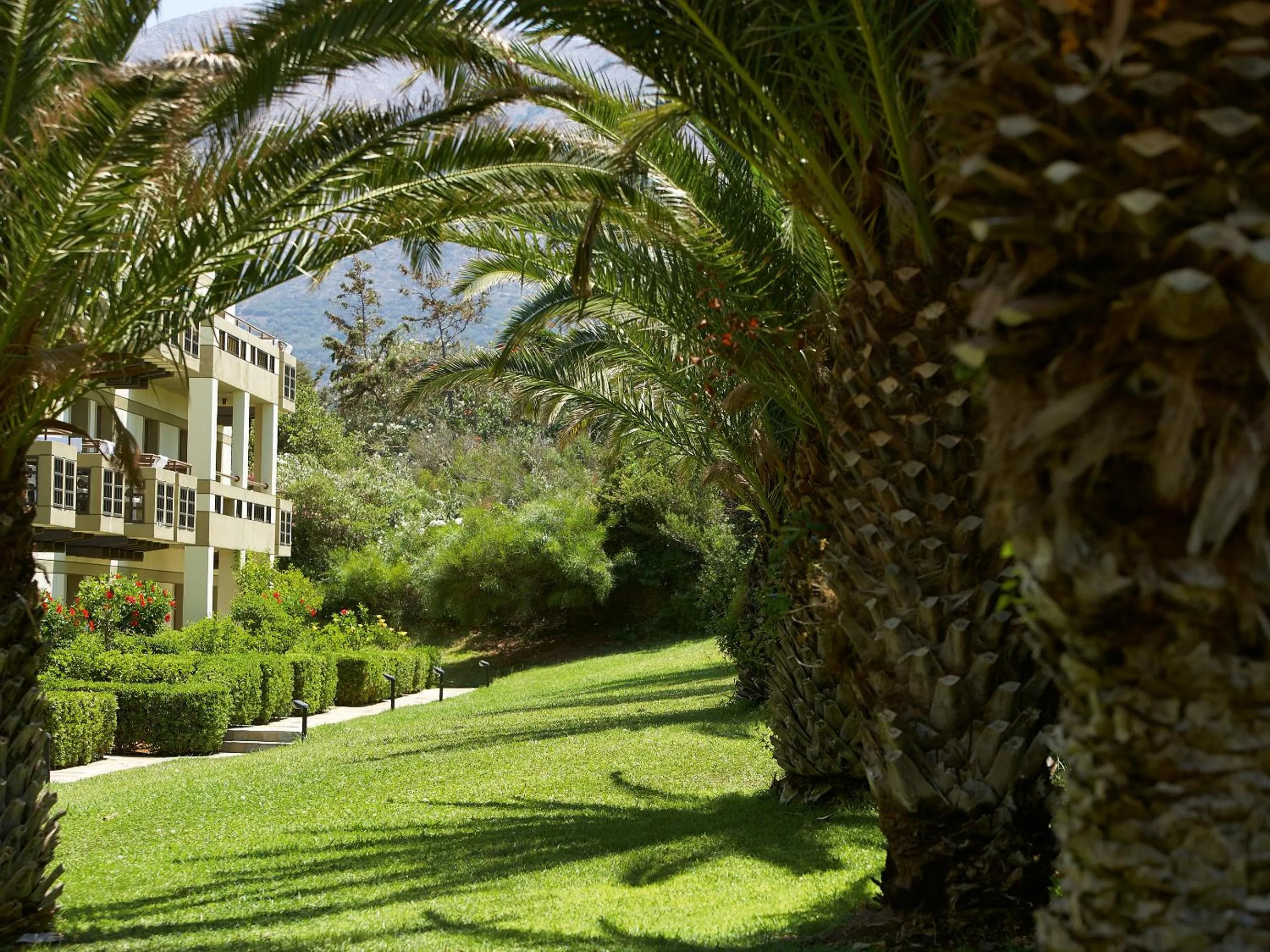 View (from property/room) in Grecotel Meli Palace
