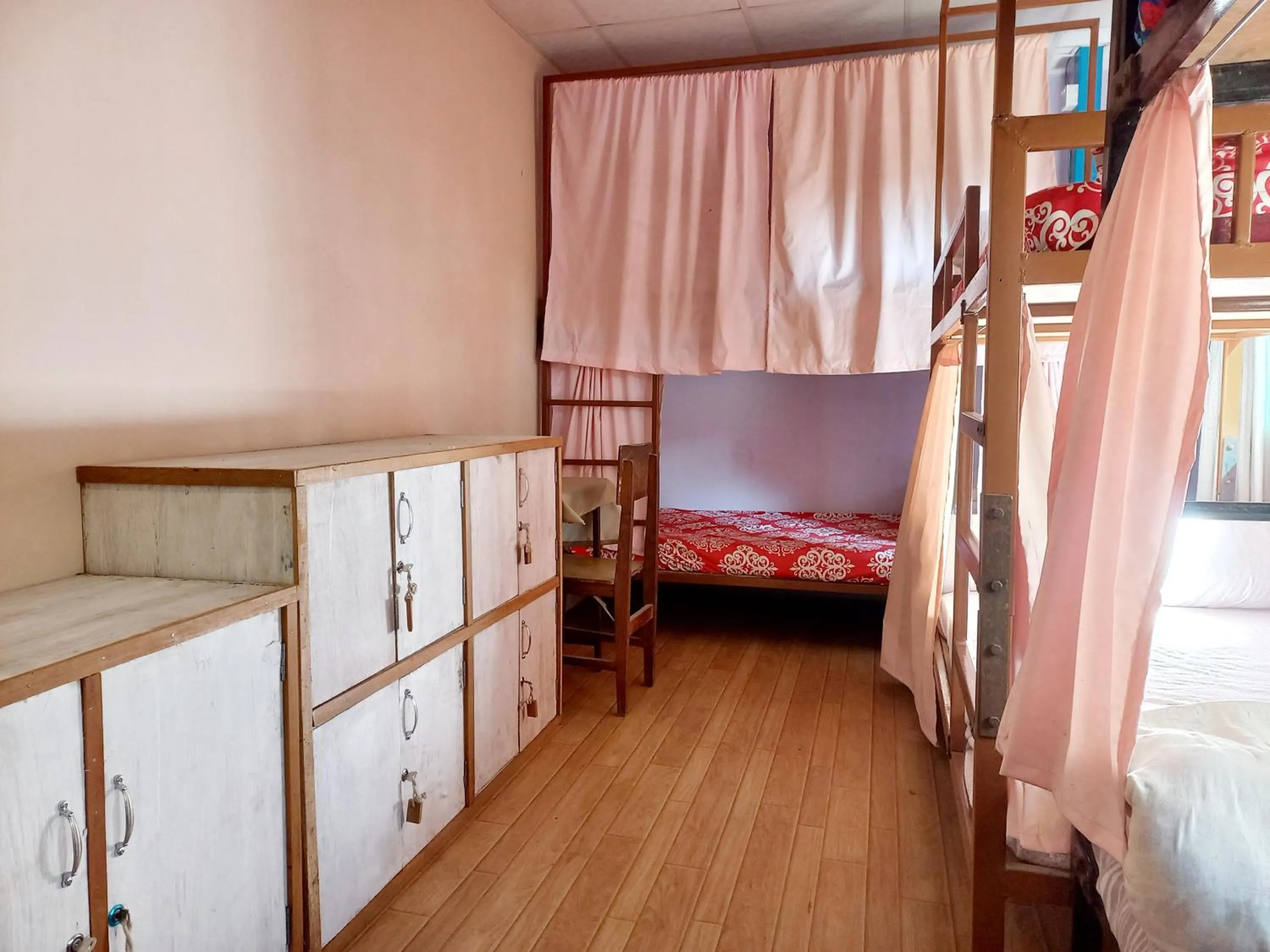 Bunk Bed in Female Dormitory Room   in Hostel Swastik