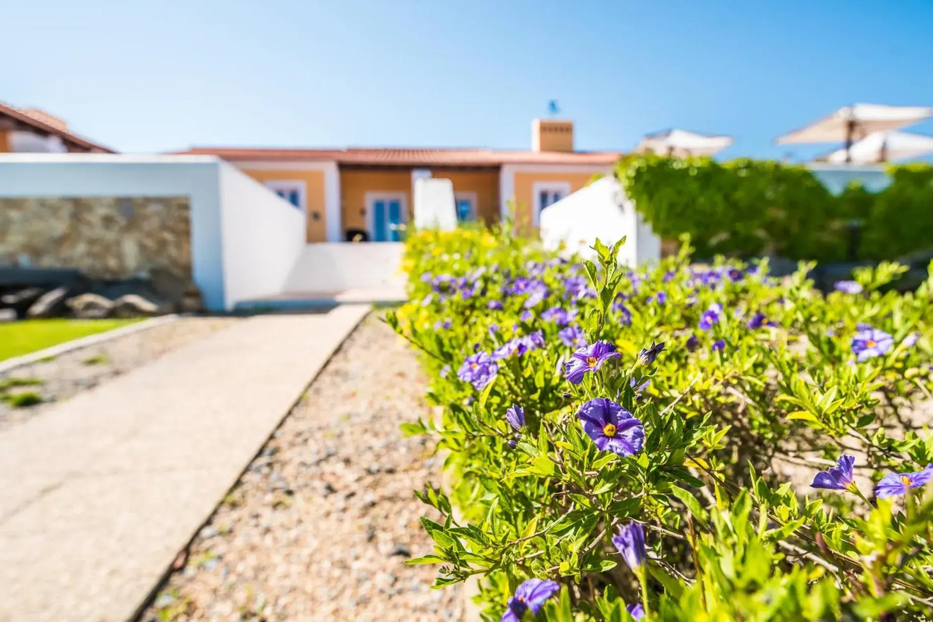Facade/entrance in Monte do Giestal - Casas de Campo & Spa Facade/entrance in Monte do Giestal - Casas de Campo & Spa