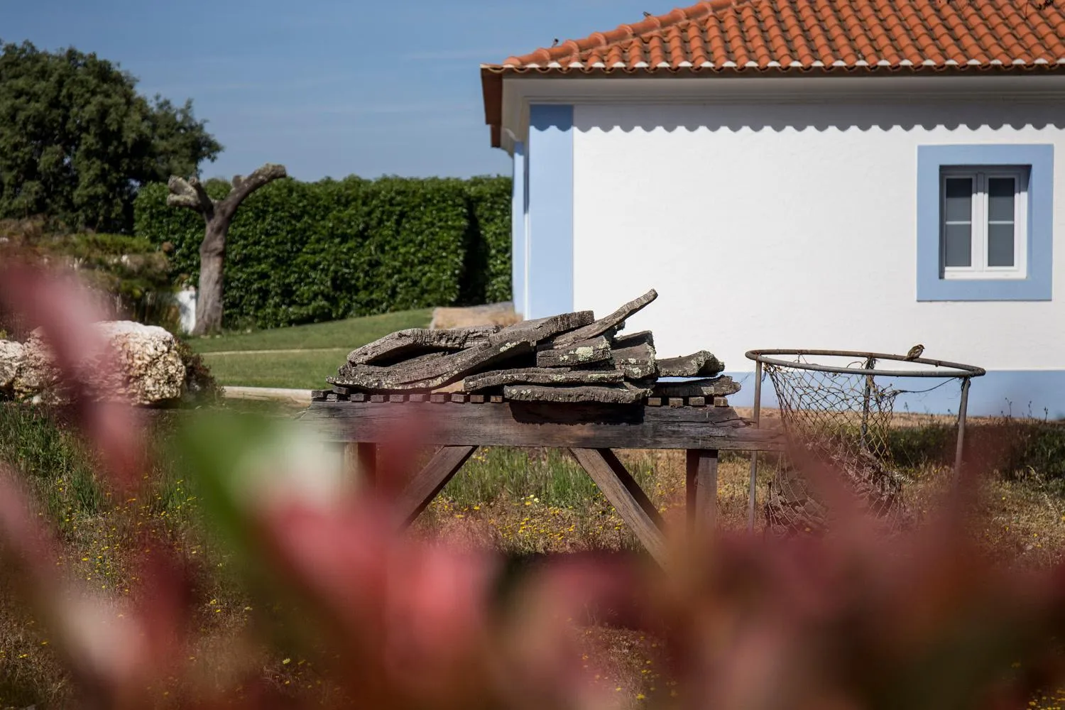 Monte do Giestal - Casas de Campo & Spa