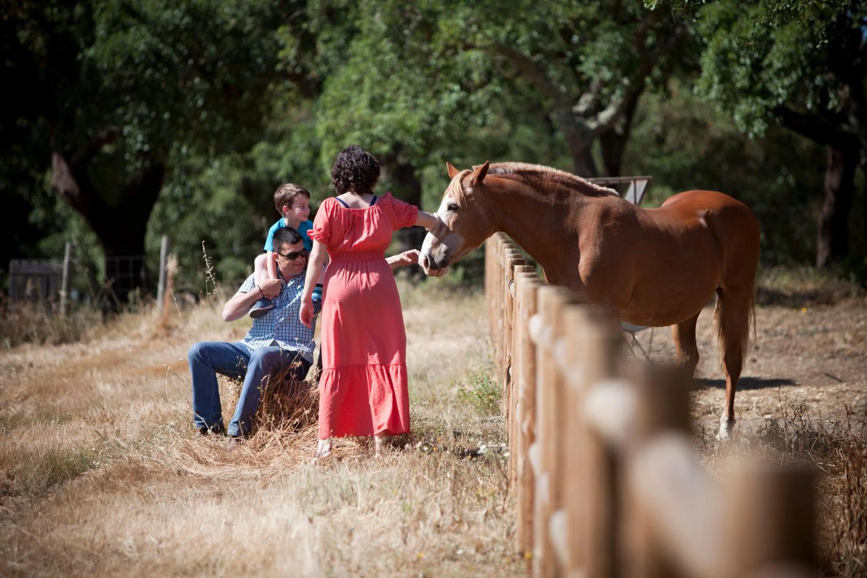 Area and facilities in Monte do Giestal - Casas de Campo & Spa