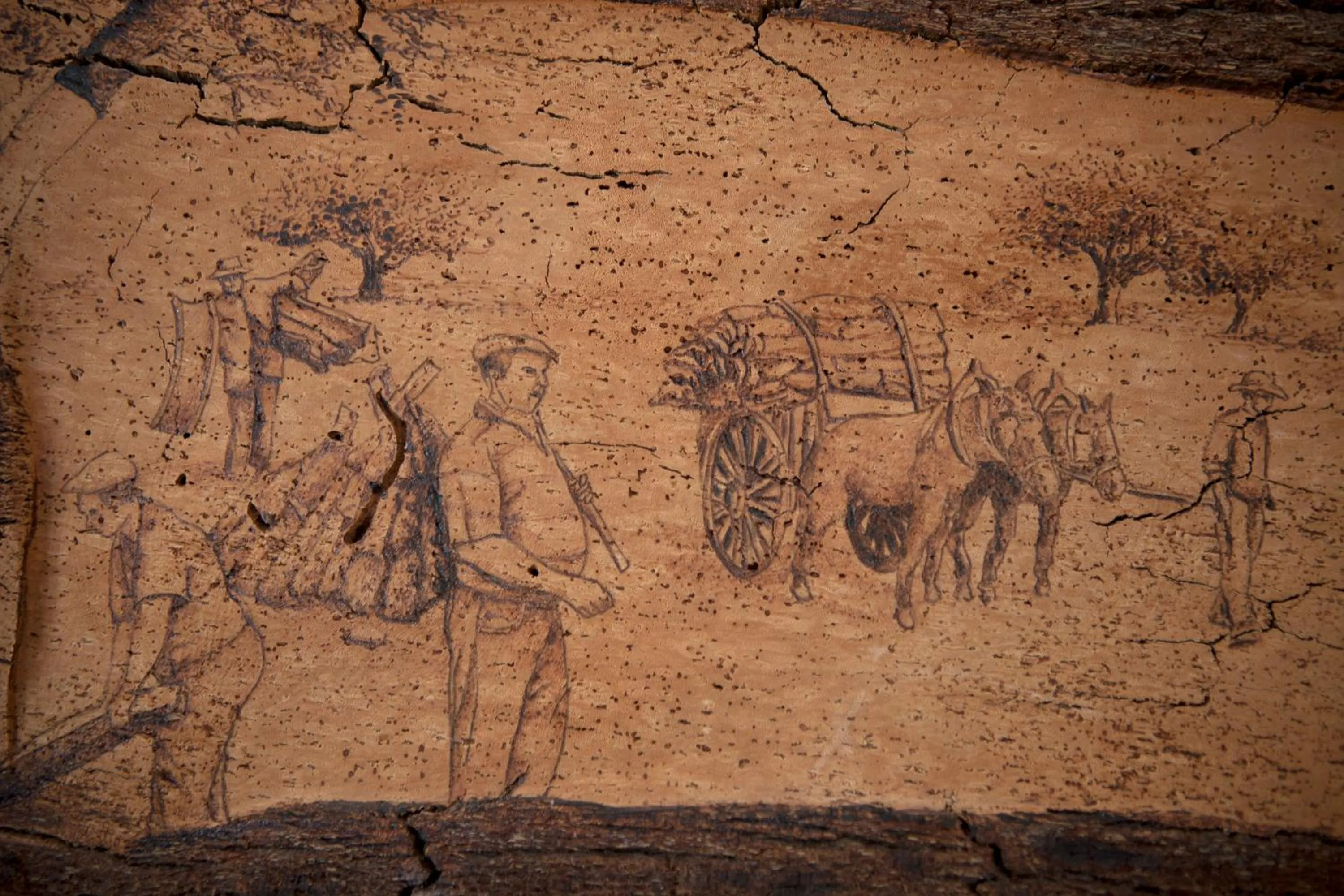 Other in Monte do Giestal - Casas de Campo & Spa