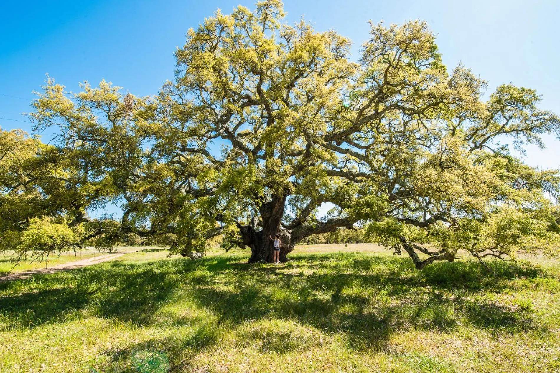 Hiking in Monte do Giestal - Casas de Campo & Spa