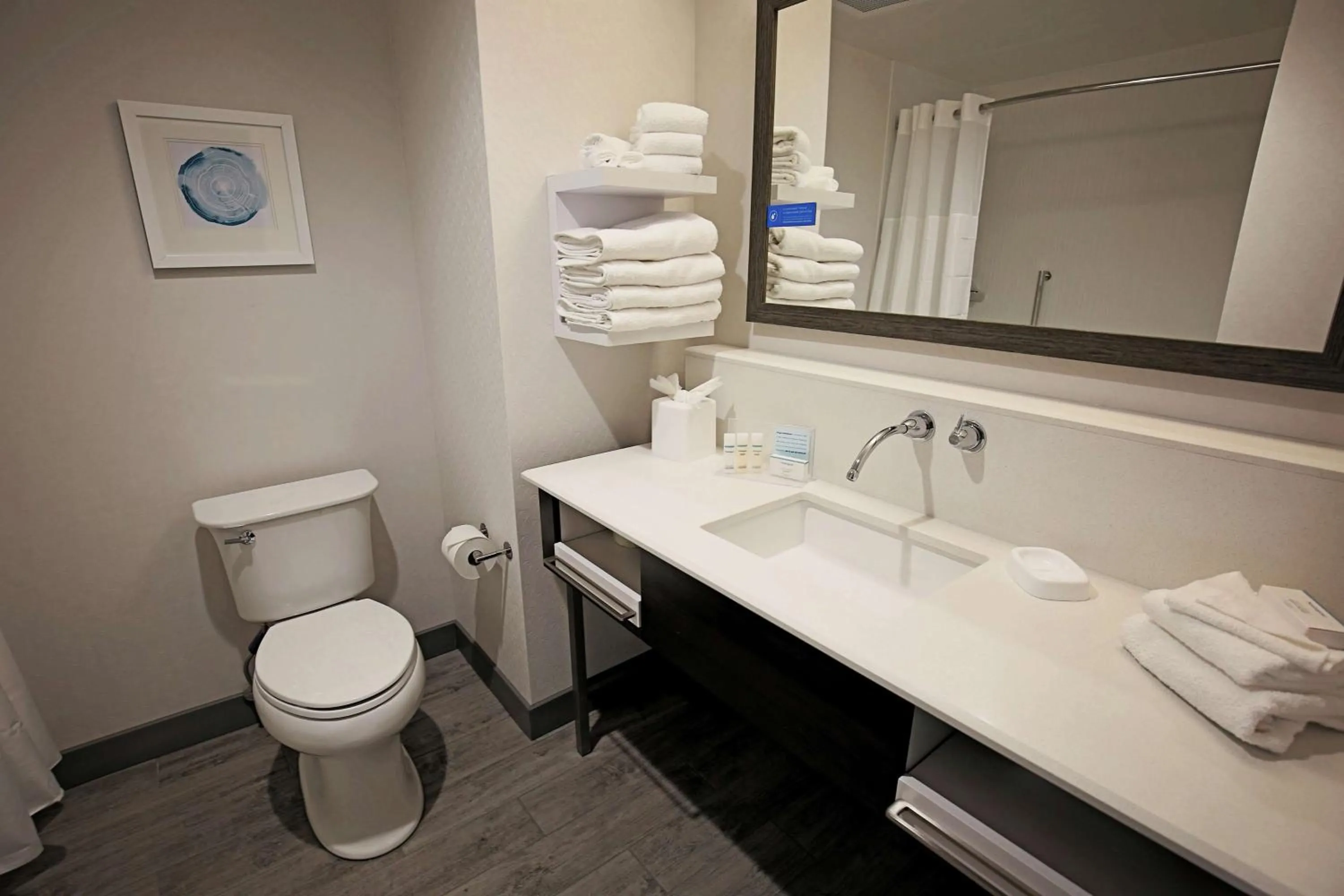 Bathroom in Hampton Inn & Suites Asheville Biltmore Area