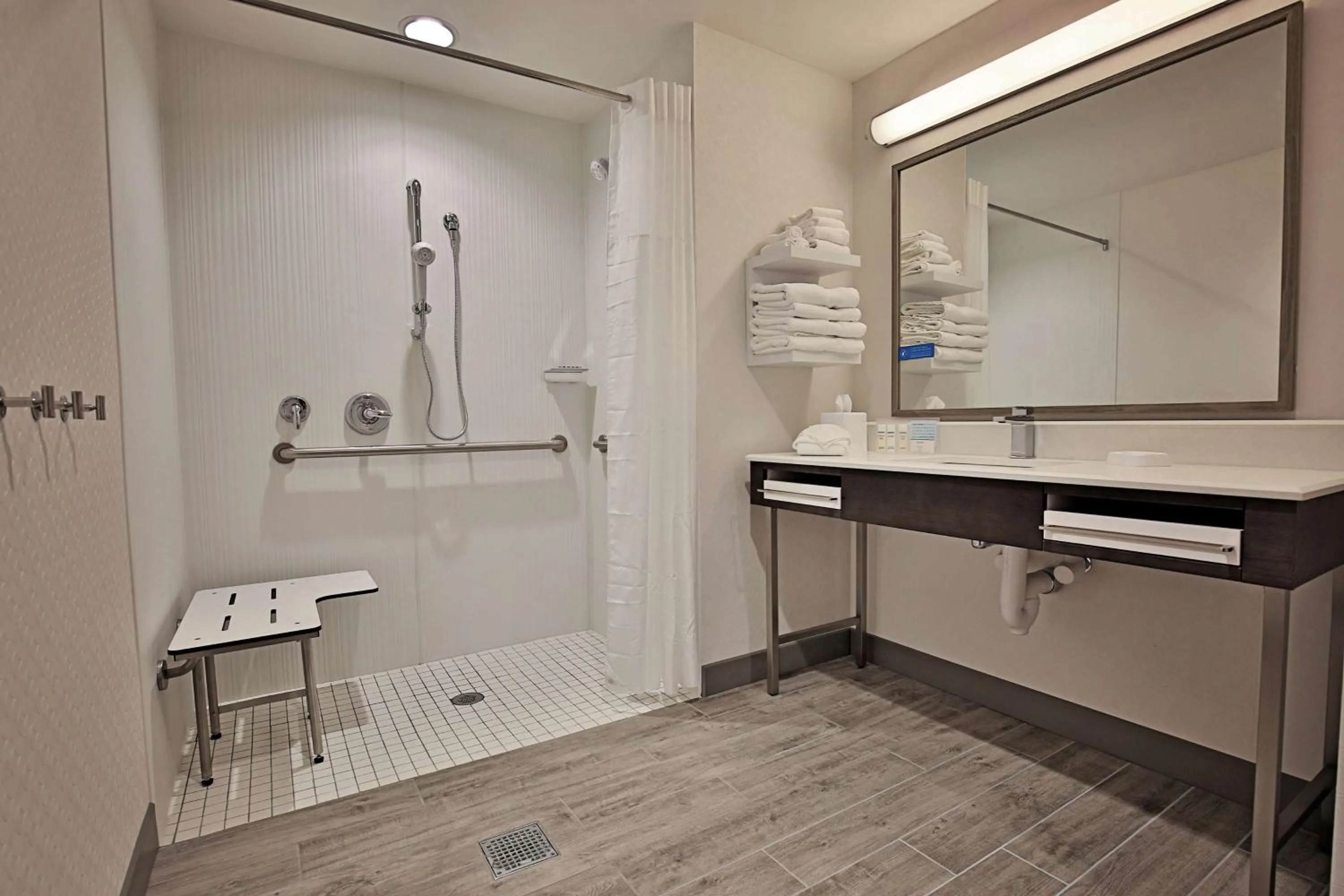 Bathroom in Hampton Inn & Suites Asheville Biltmore Area