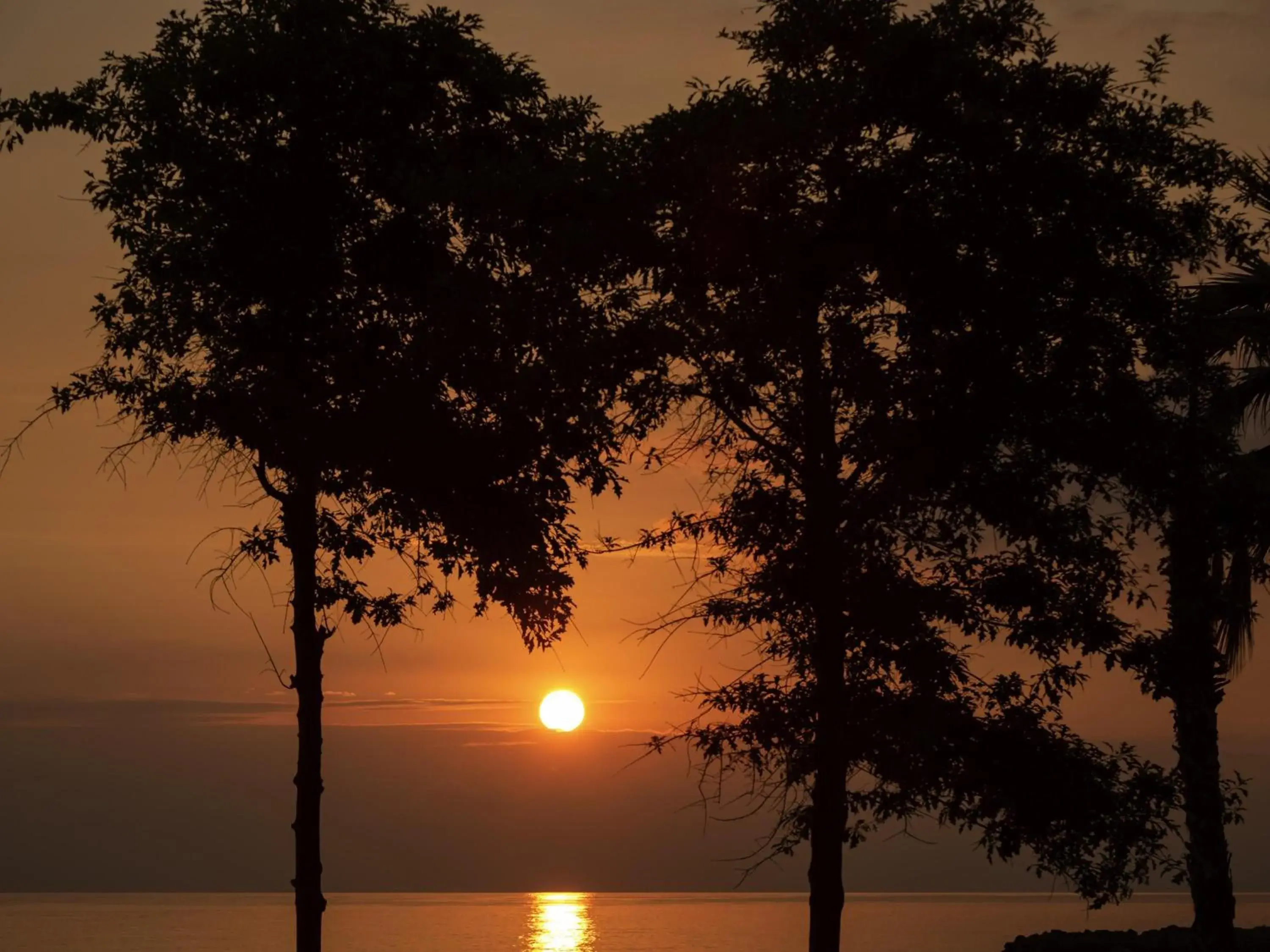 Property building in Mövenpick Hotel Trabzon Property building in Mövenpick Hotel Trabzon