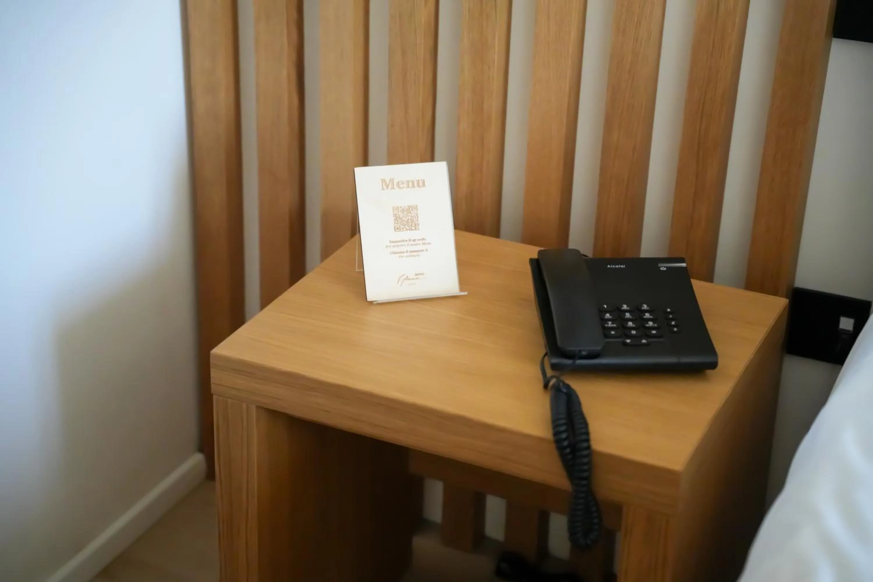 Photo of the whole room in Plana Hotel