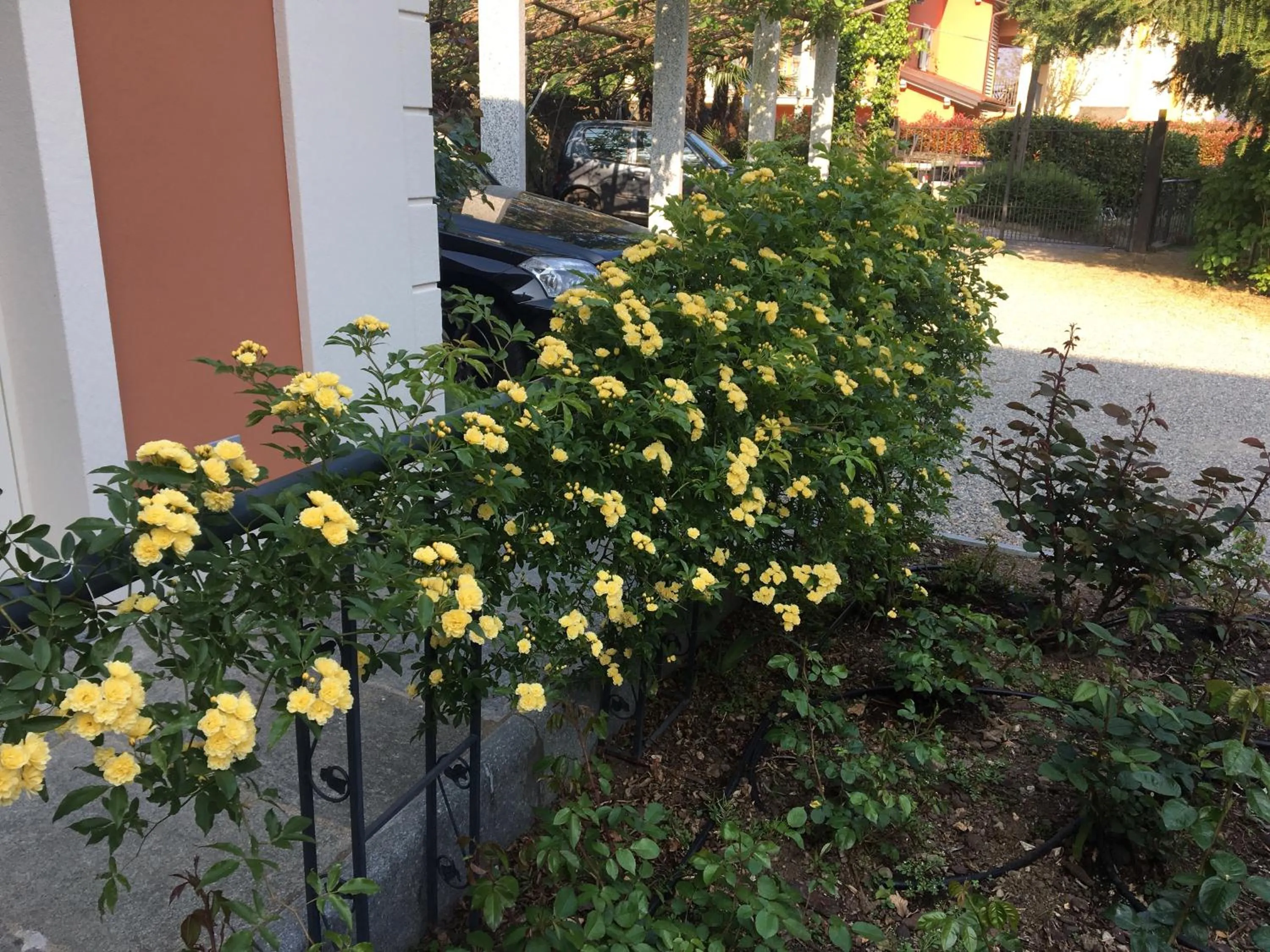 Spring in B&B Villa Dei Pini