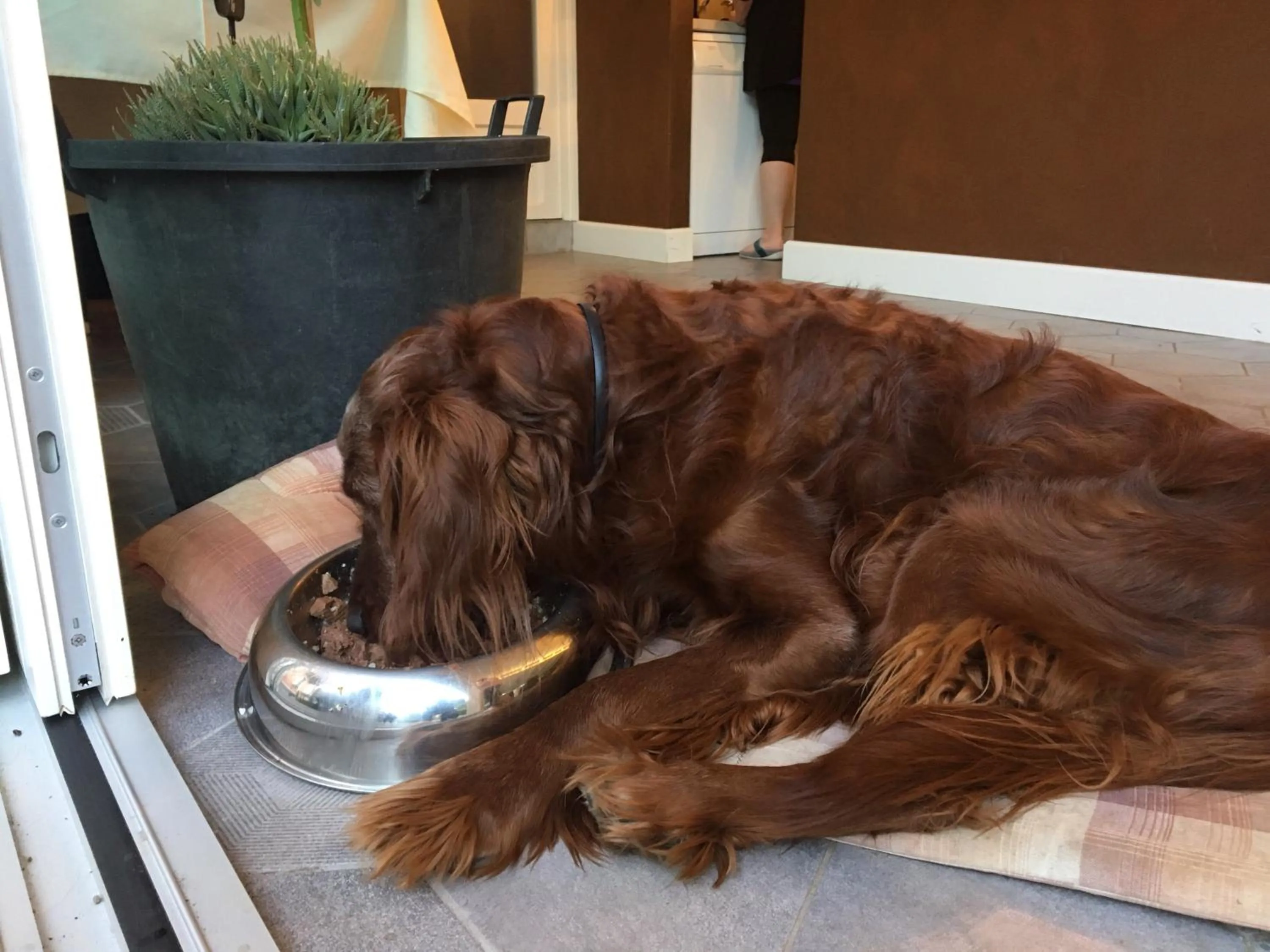 On site in B&B Villa Dei Pini