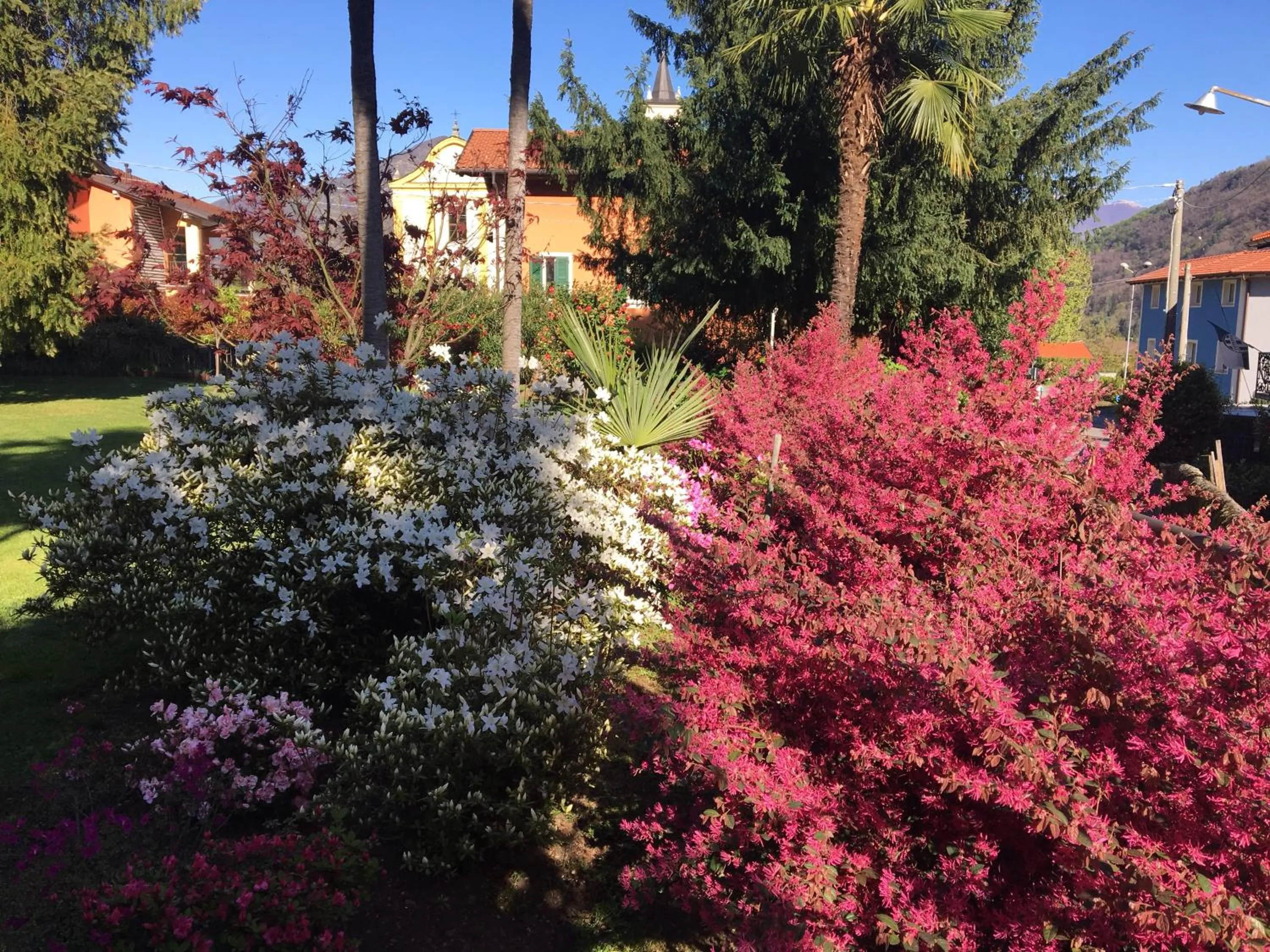 Spring in B&B Villa Dei Pini