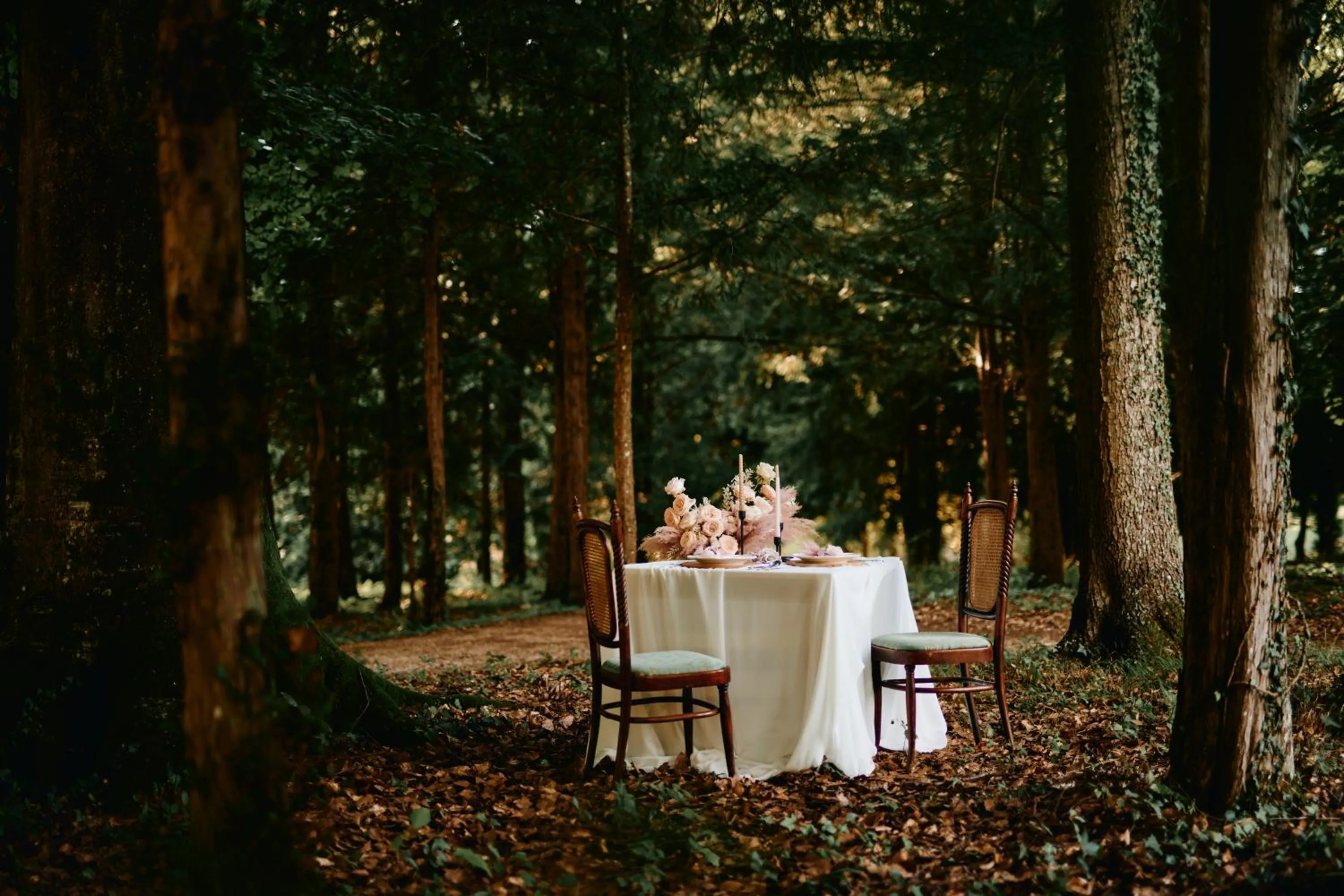 Banquet/Function facilities in Mokrice Castle Estate