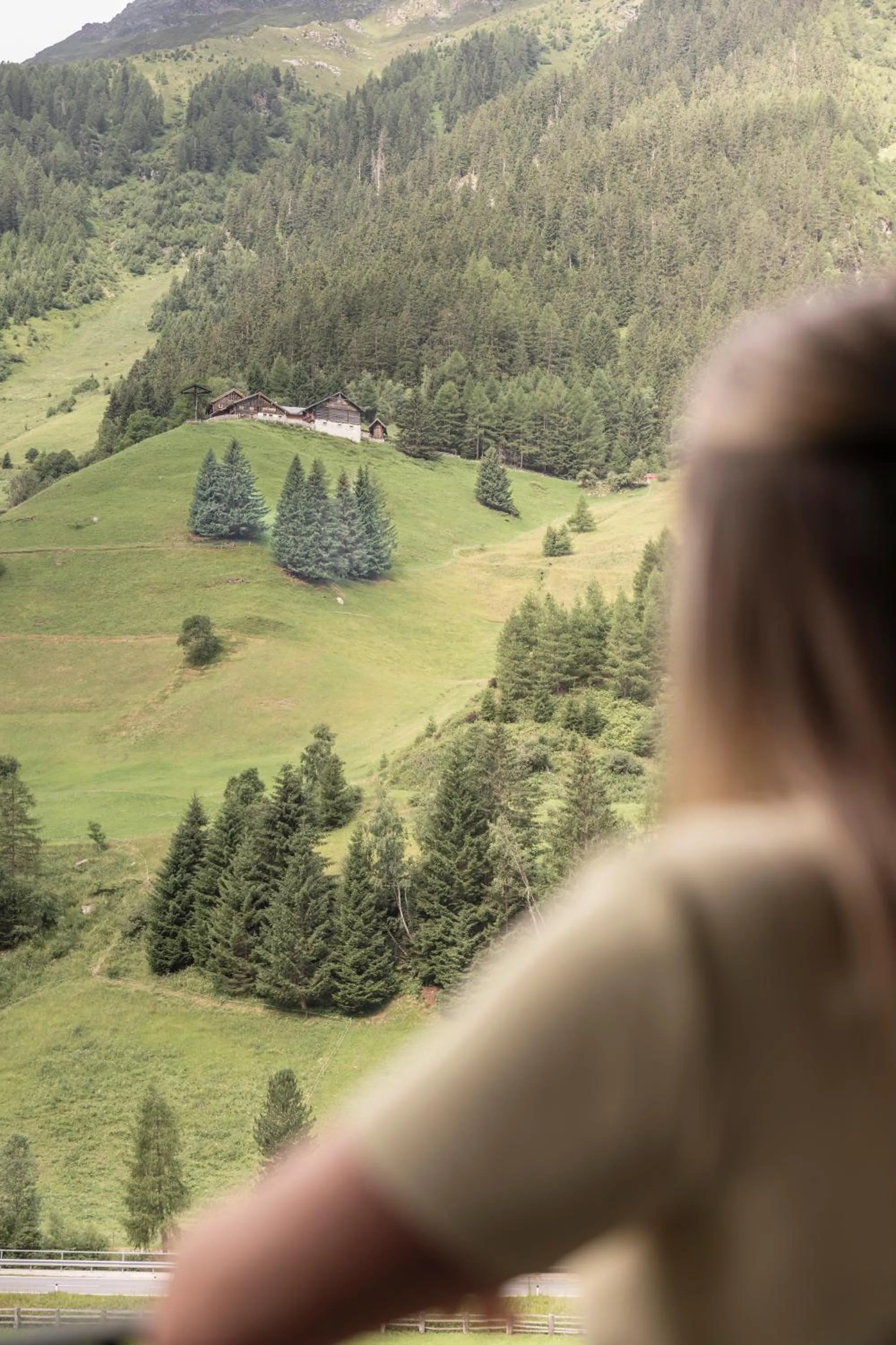 View (from property/room) in Natur Alpin Hotel Feichtner Hof