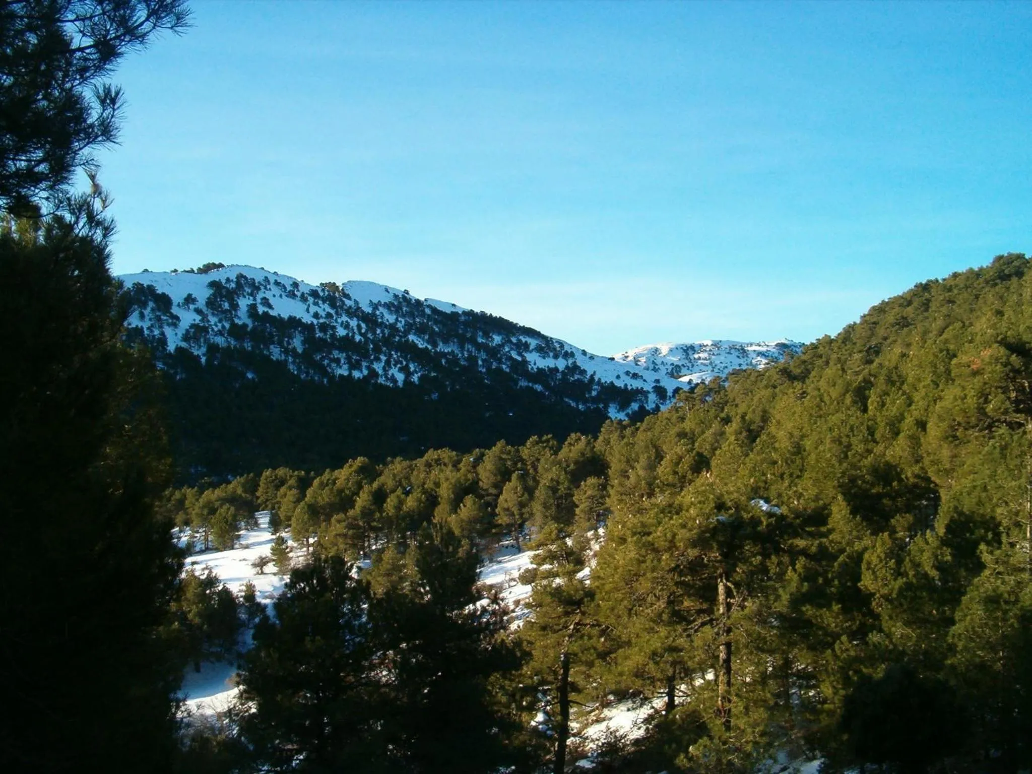 Natural landscape in Hotel San Julian