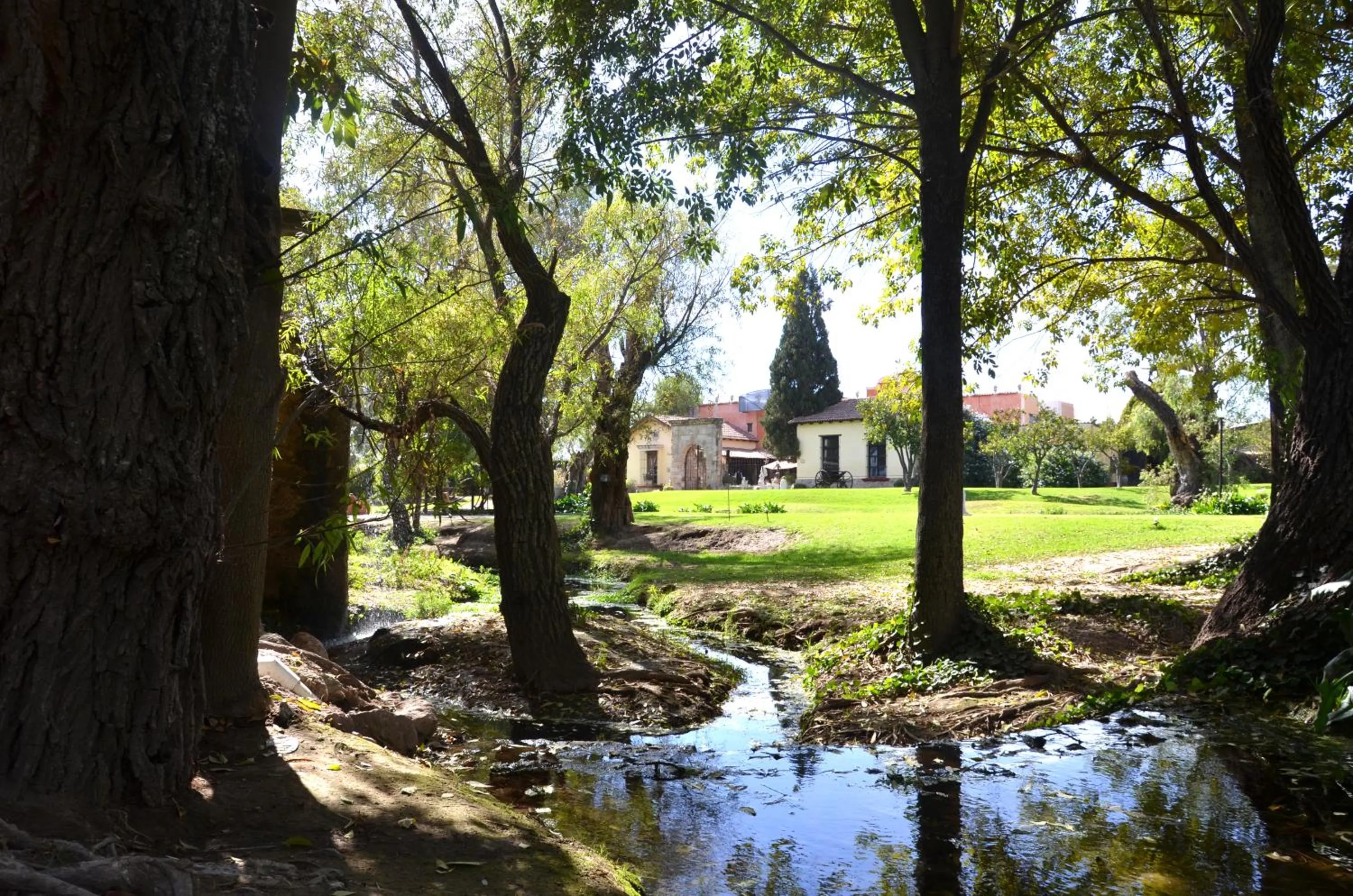 Garden view in Hacienda La Magdalena