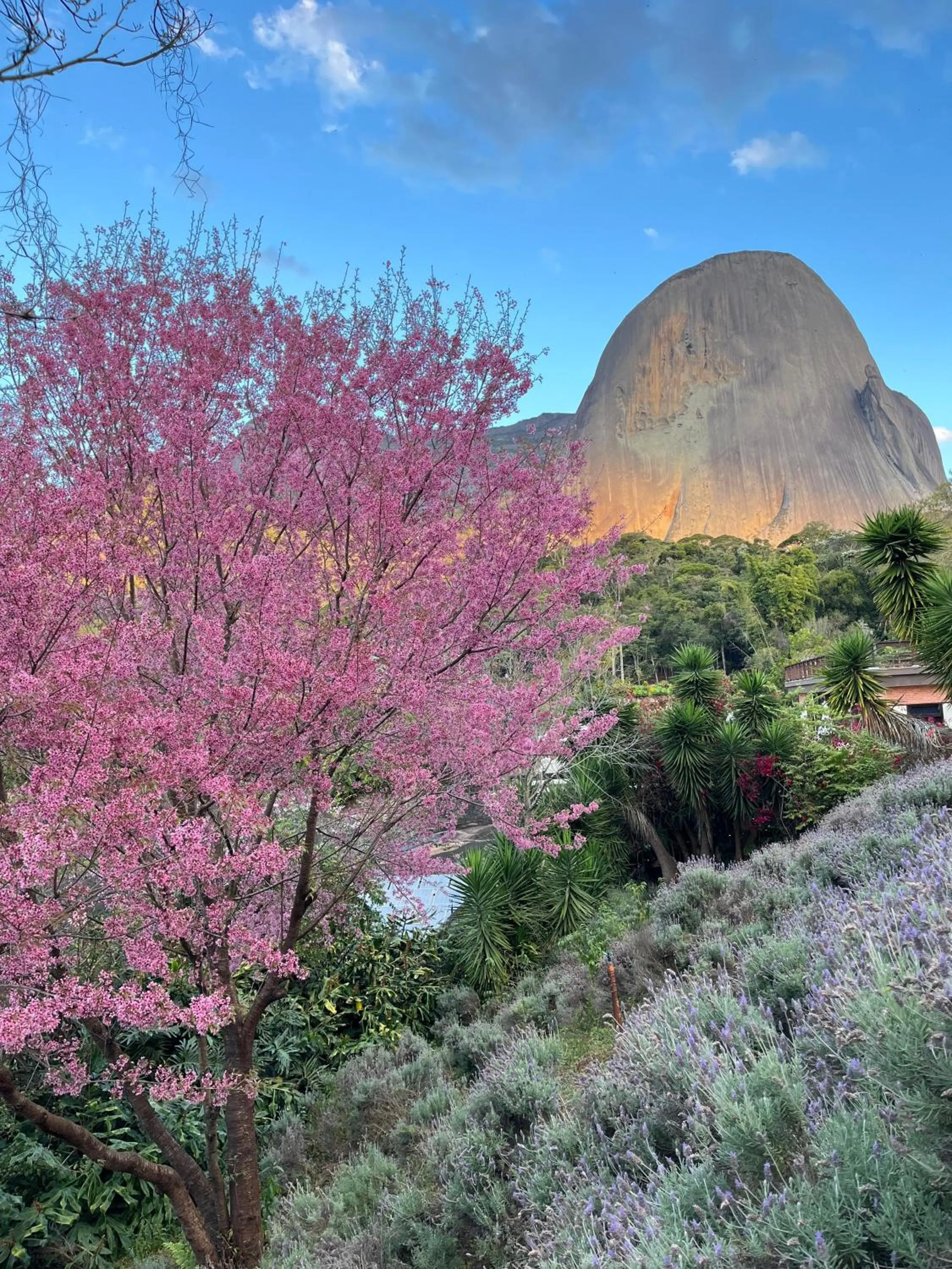 Garden view in Pousada Pedra Azul