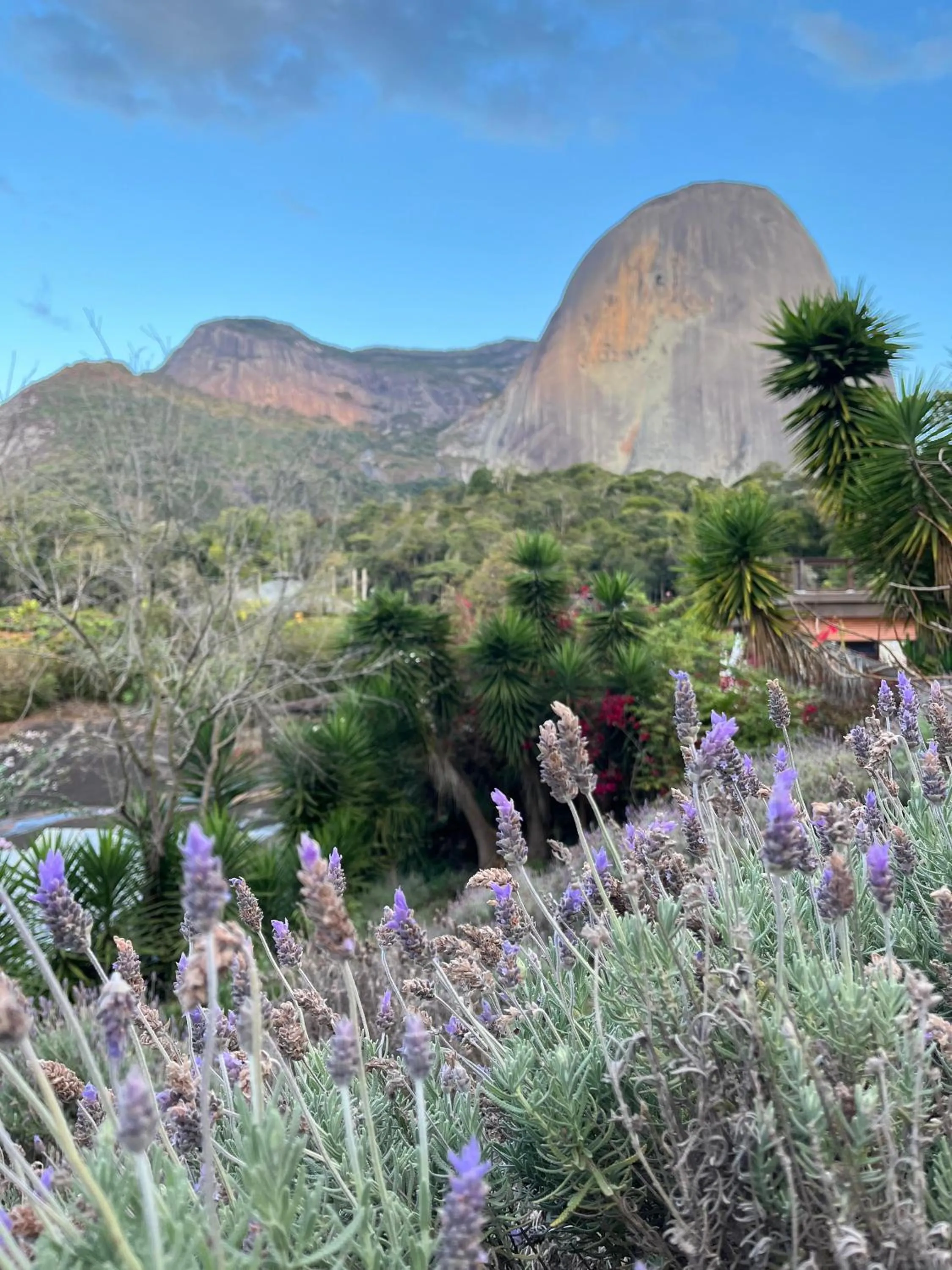 Garden view in Pousada Pedra Azul