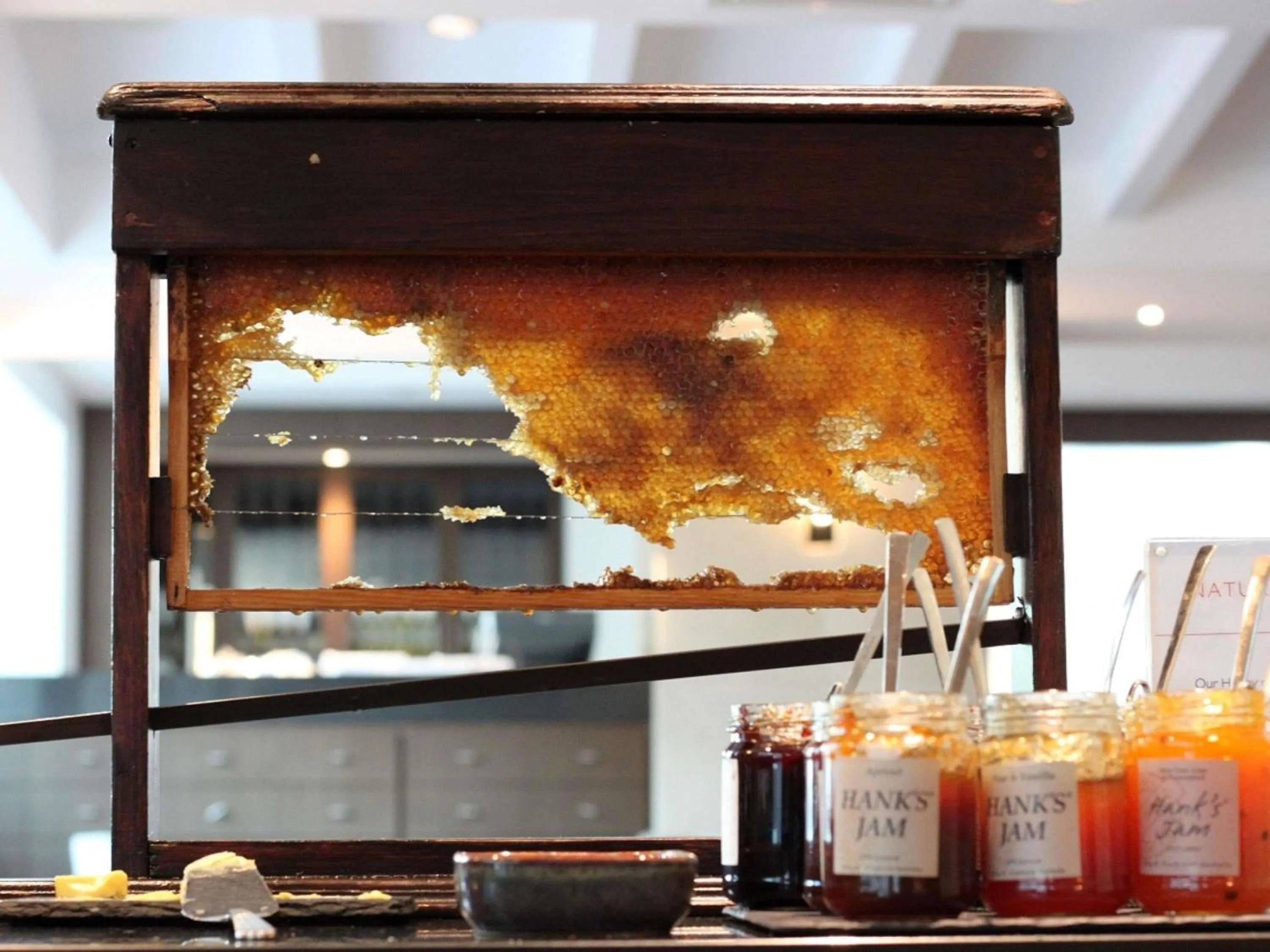 Breakfast in Swissotel Sydney