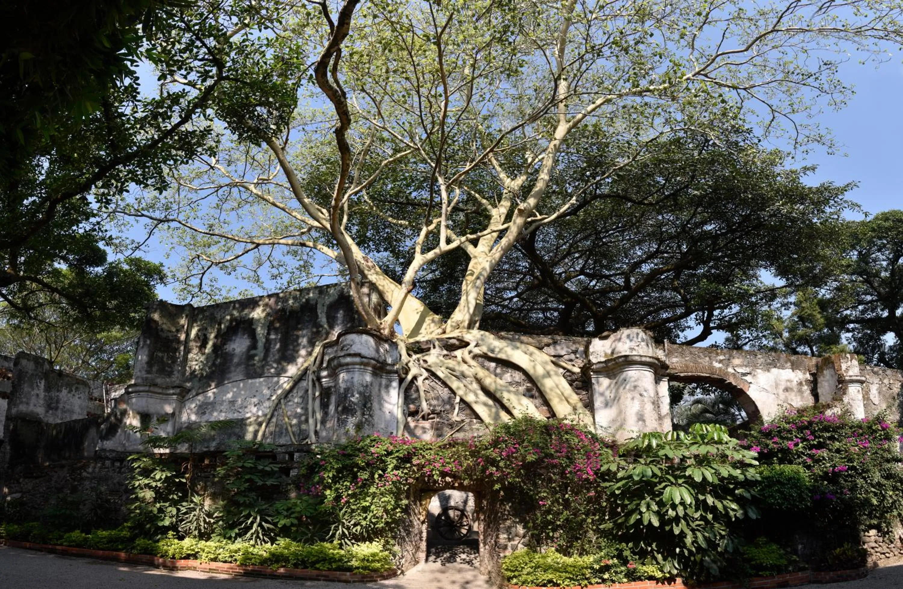 Garden view in Hotel & Spa Hacienda de Cortés