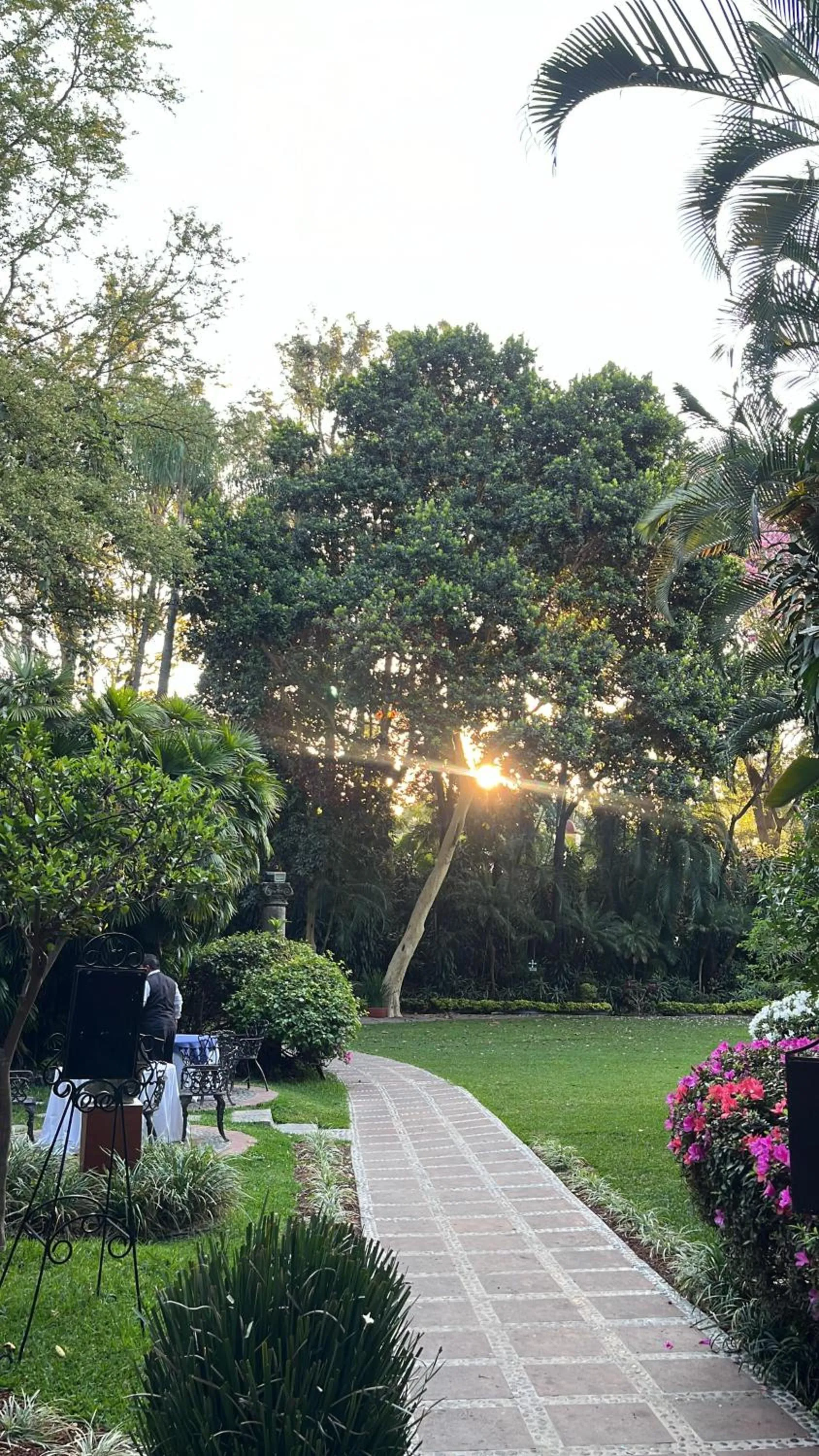Garden in Hotel & Spa Hacienda de Cortés