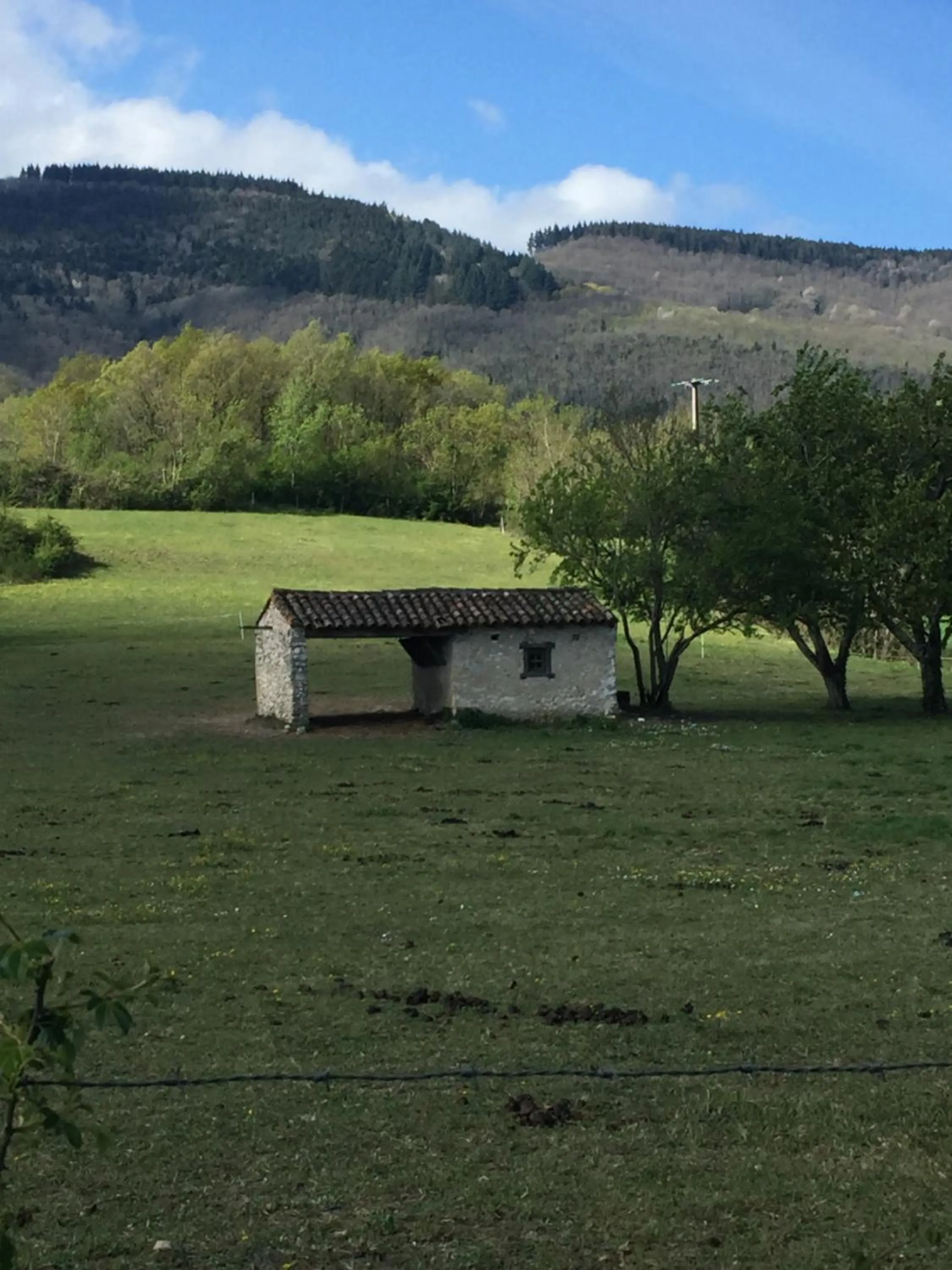 Natural landscape in les camélias
