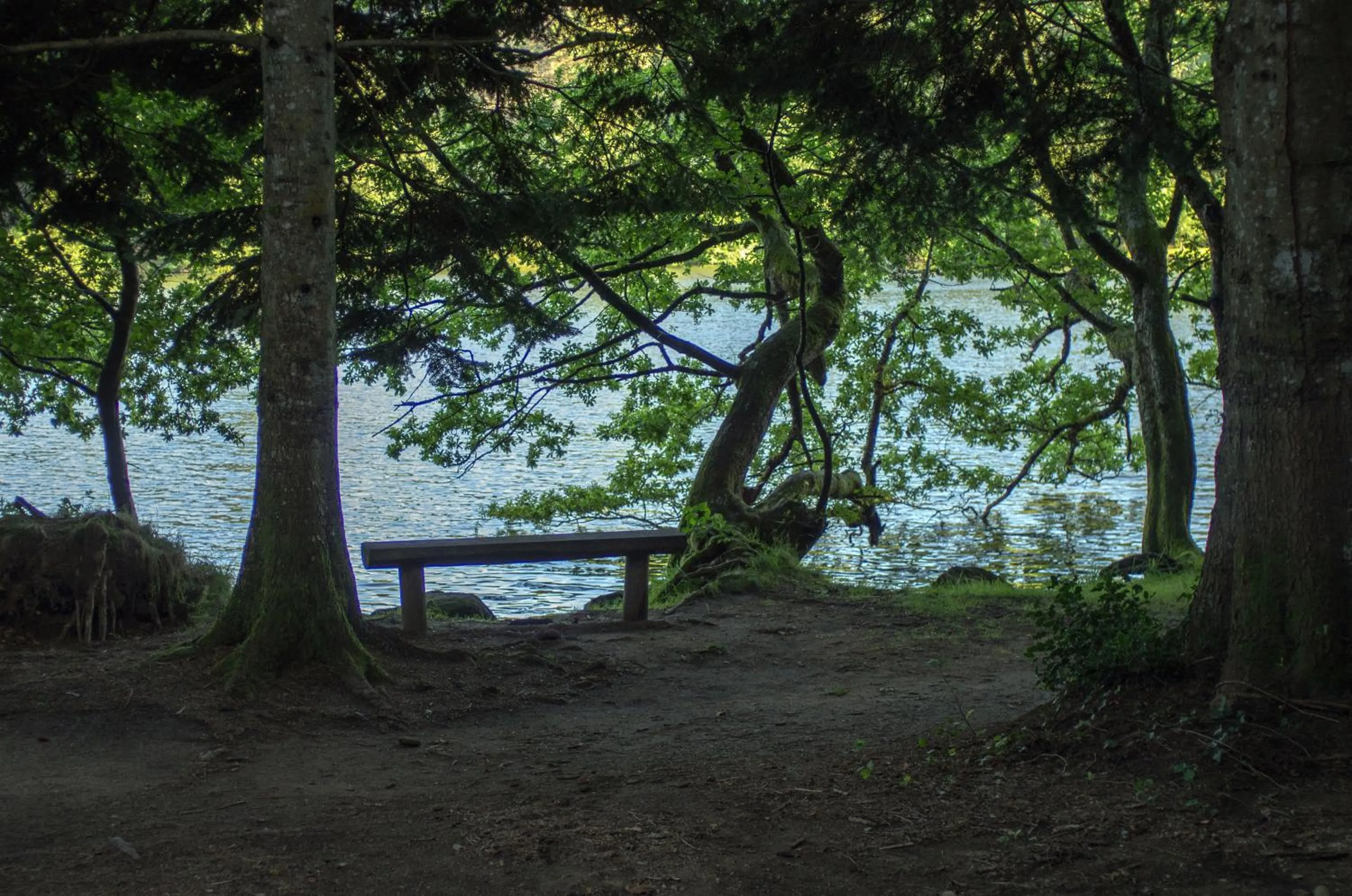 Natural landscape in les camélias