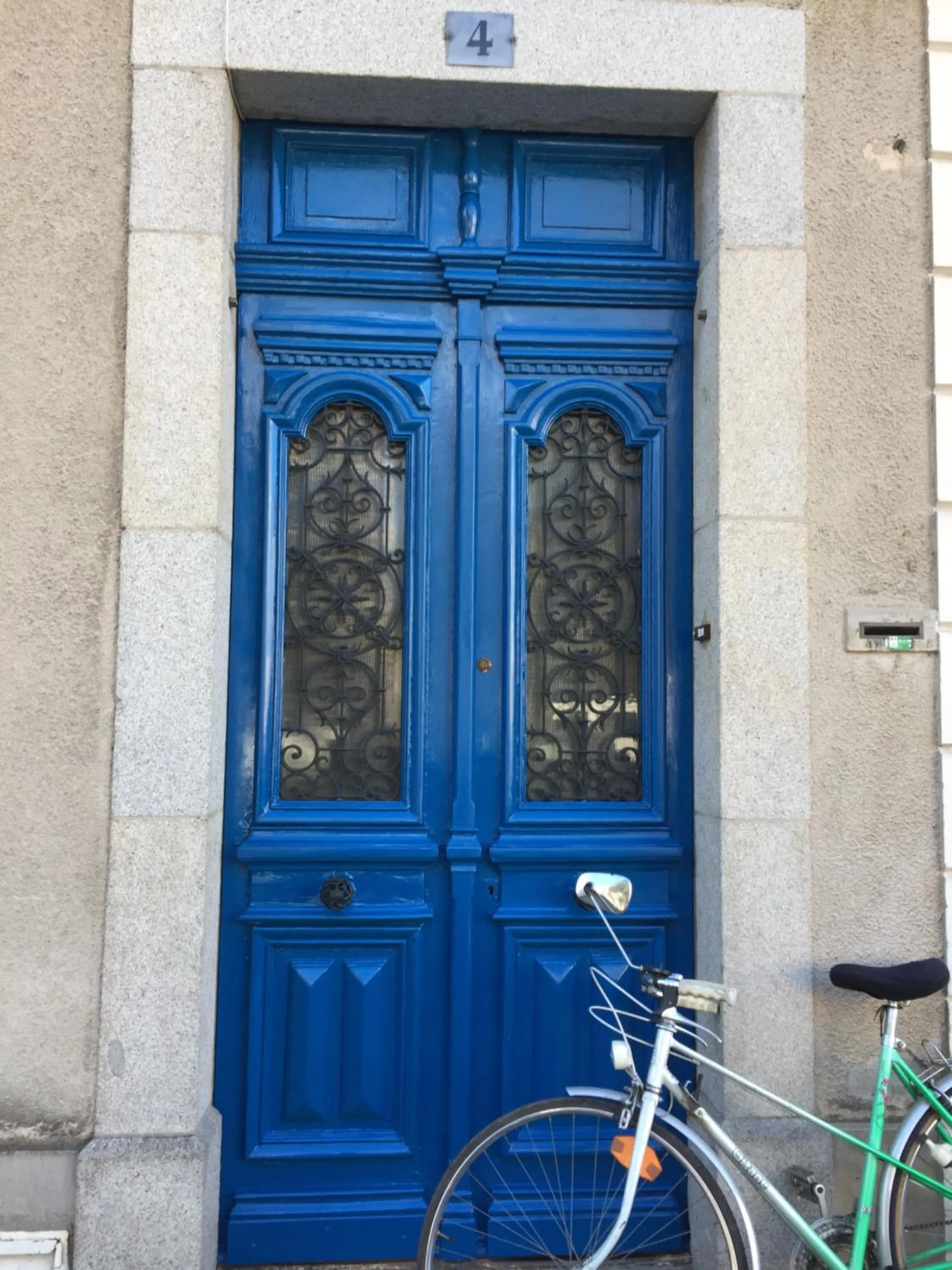 les camélias