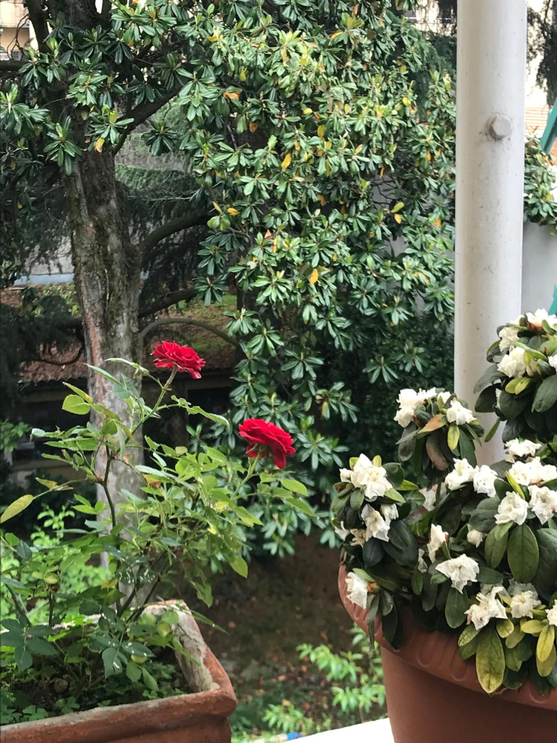 Balcony/Terrace in Casa di Nonna