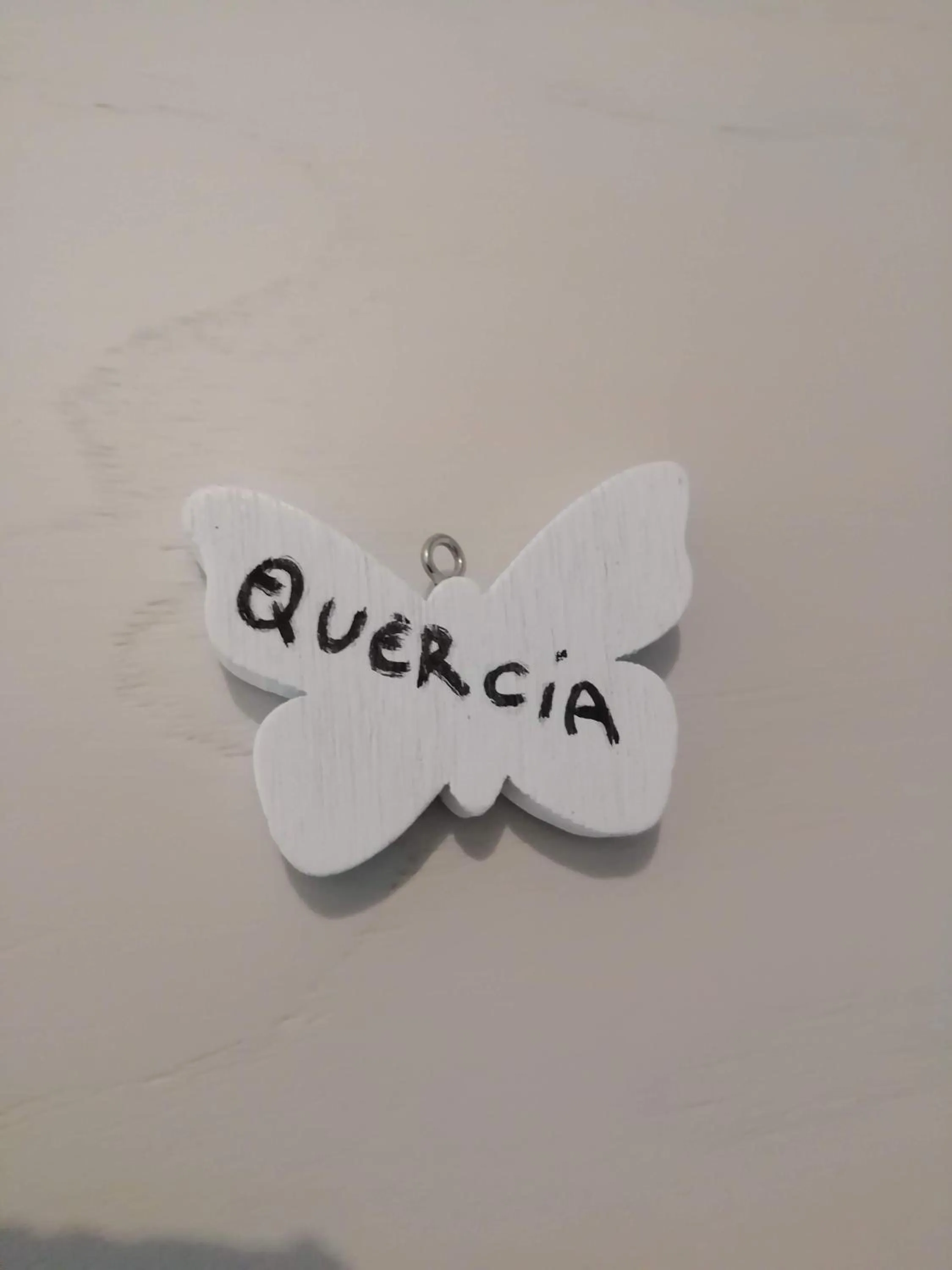 Decorative detail in In campagna da Nino