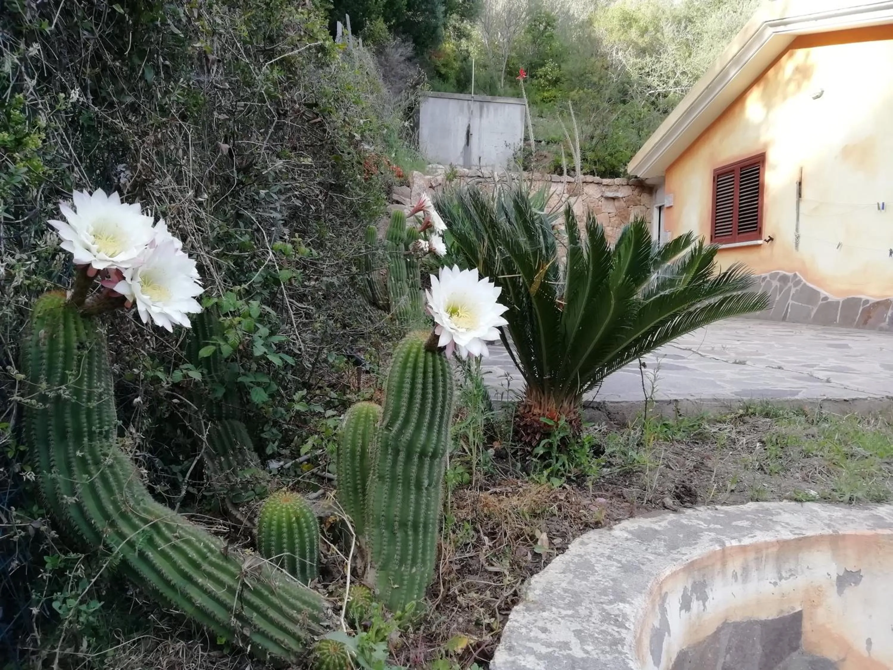 Garden in In campagna da Nino
